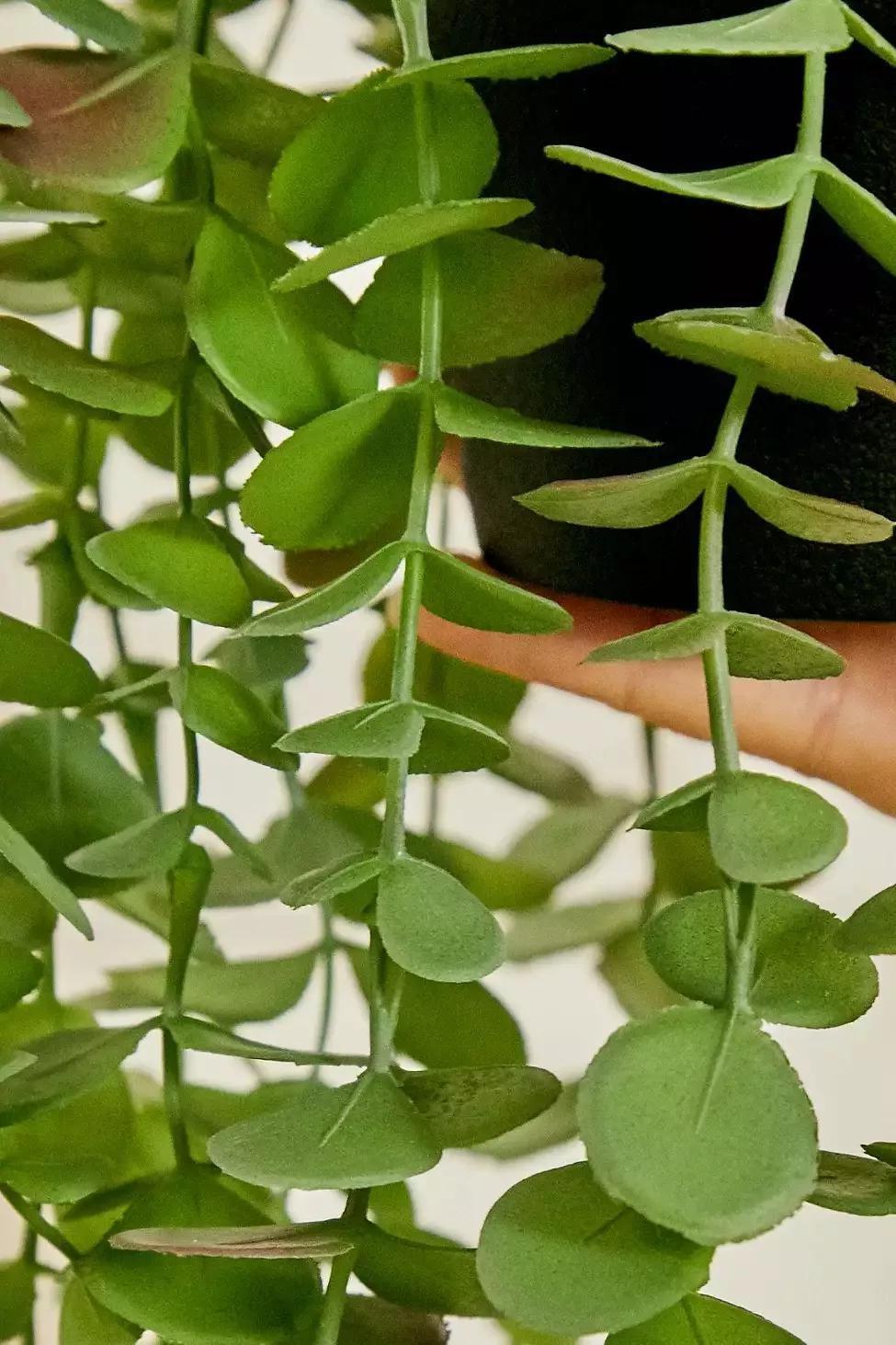 ASSORT Faux Trailing Eucalyptus Plant, , large image number 2