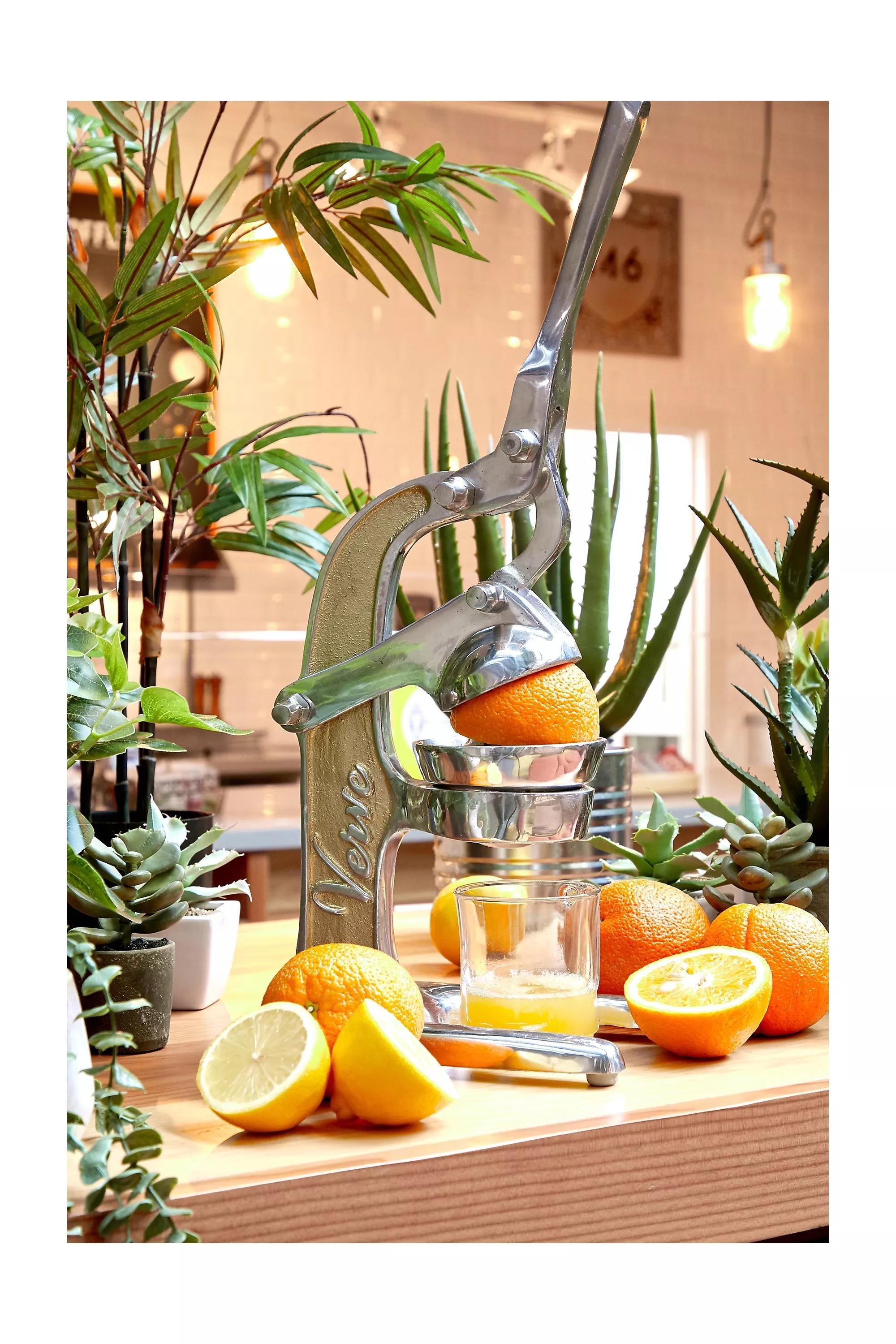 SLVR Artisan Citrus Juicer, SLVR, large image number 0