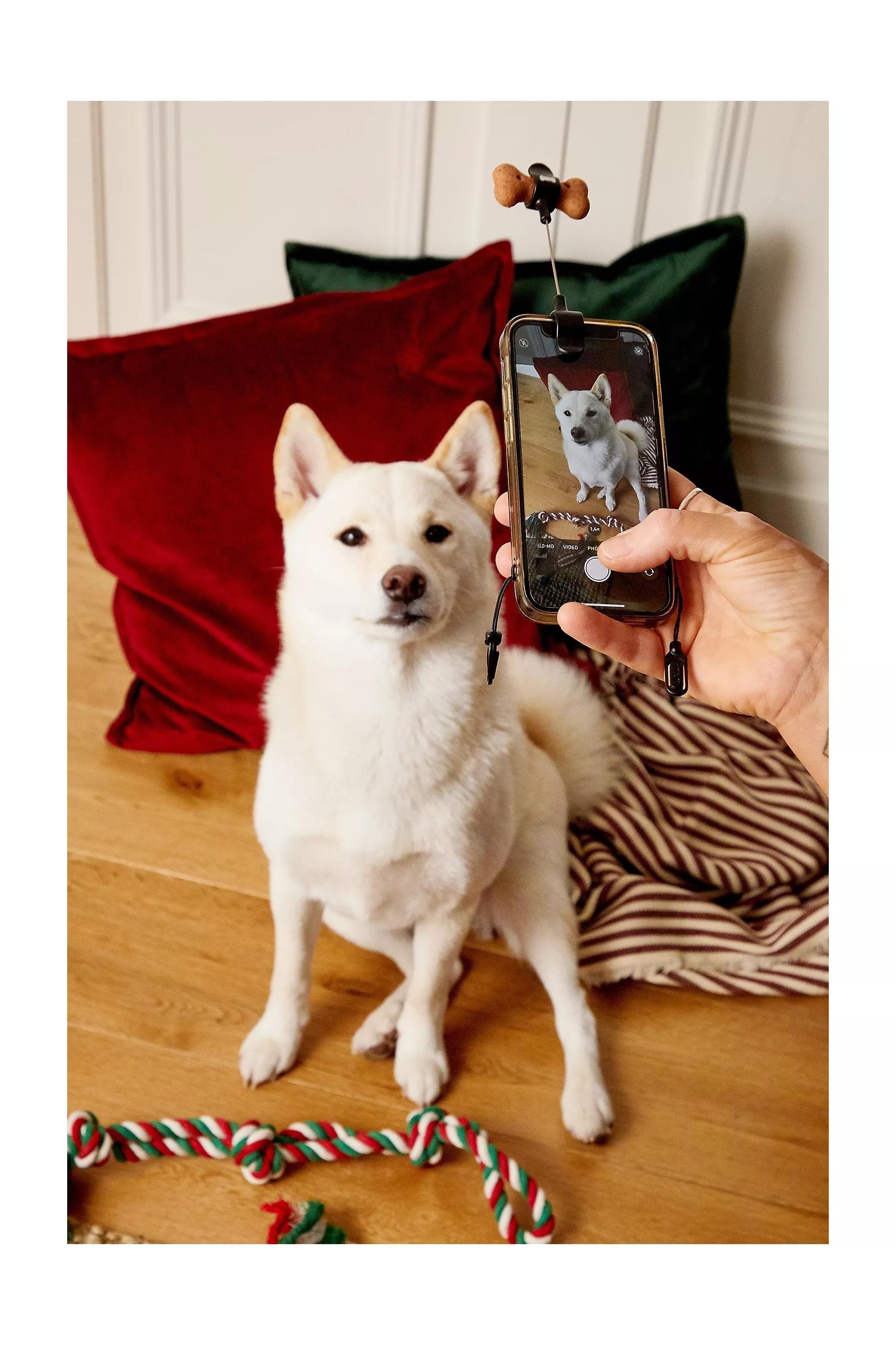 Assort Dog Treat Selfie Clip, ASSORT, large image number 0