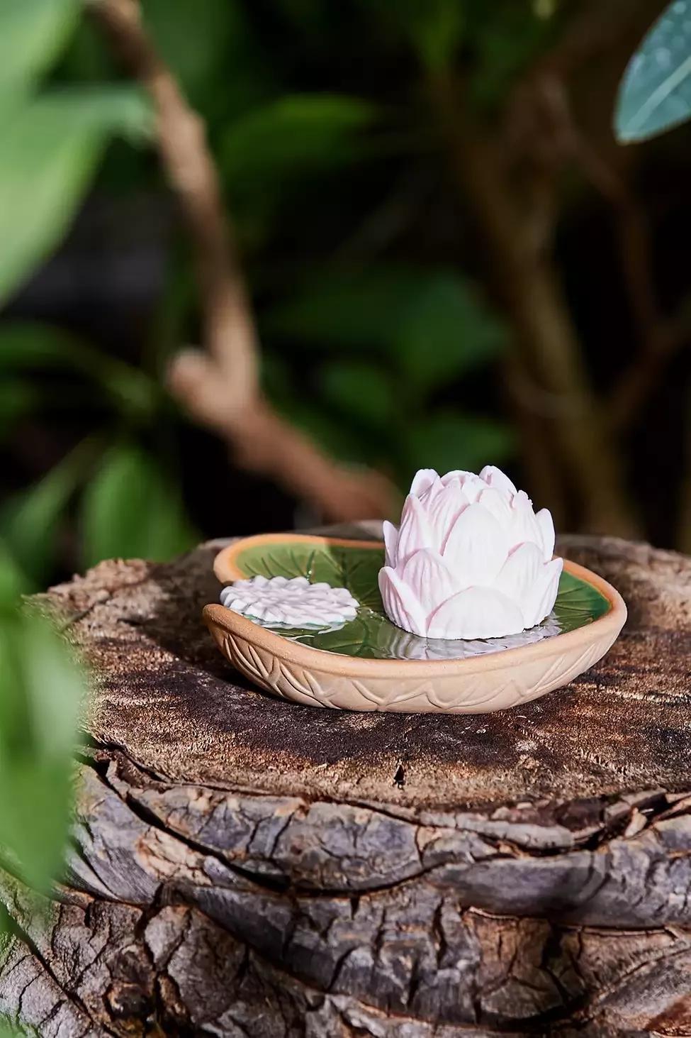 Green Froggy Lily Pad Soap Dish, , large image number 0