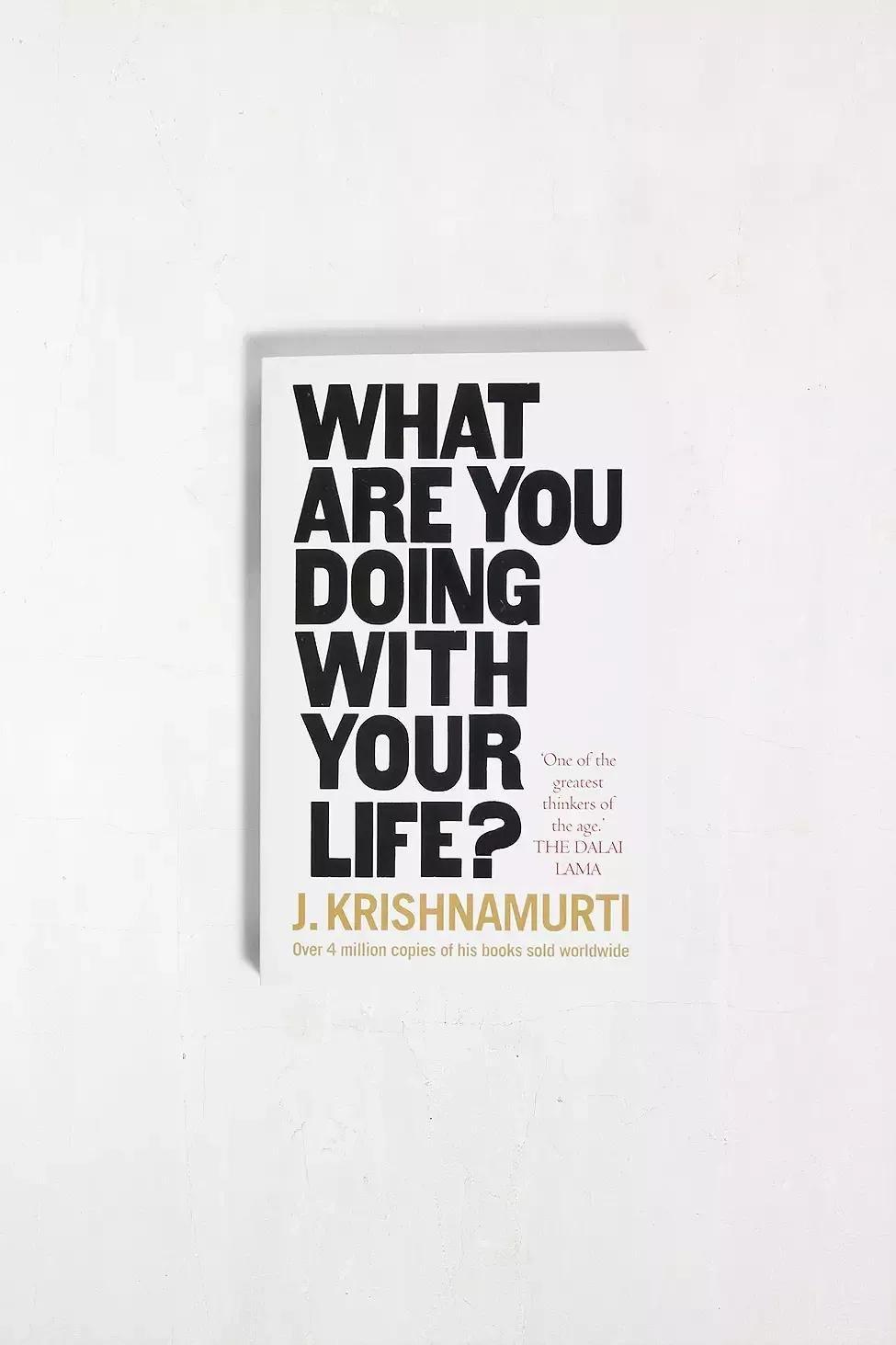 Assorted What Are You Doing With Your Life By J. Krishnamurti, , large image number 0