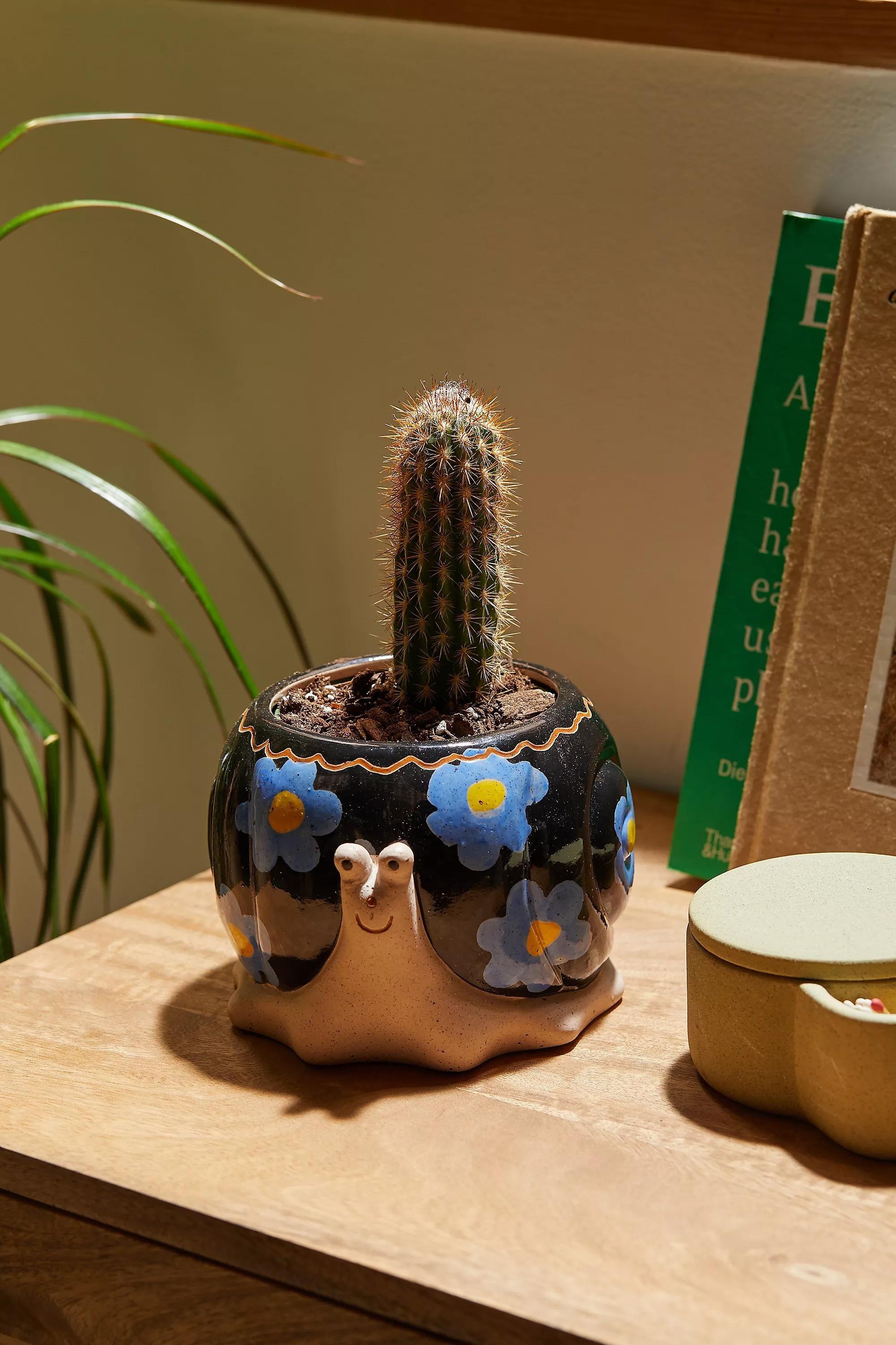 Purple Snail Plant Pot, PURP, large image number 0