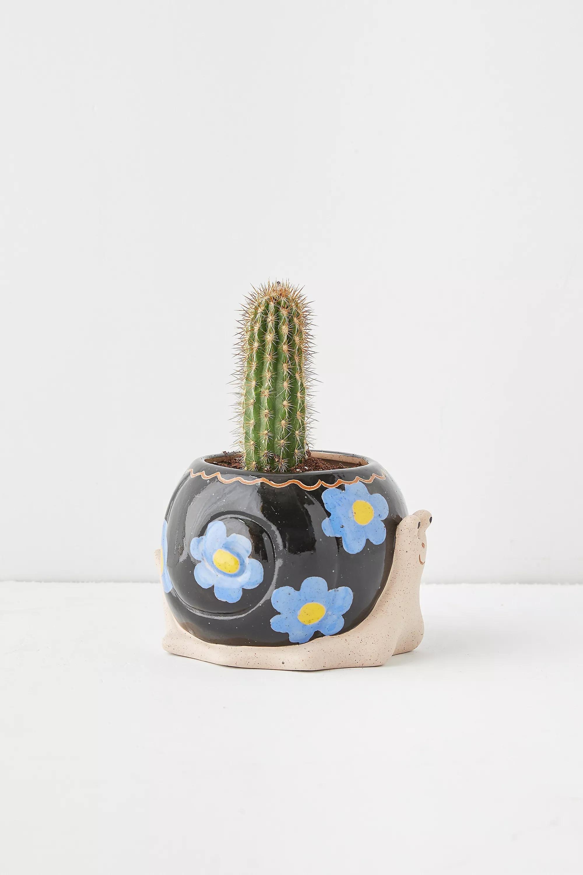 Purple Snail Plant Pot, PURP, large image number 2