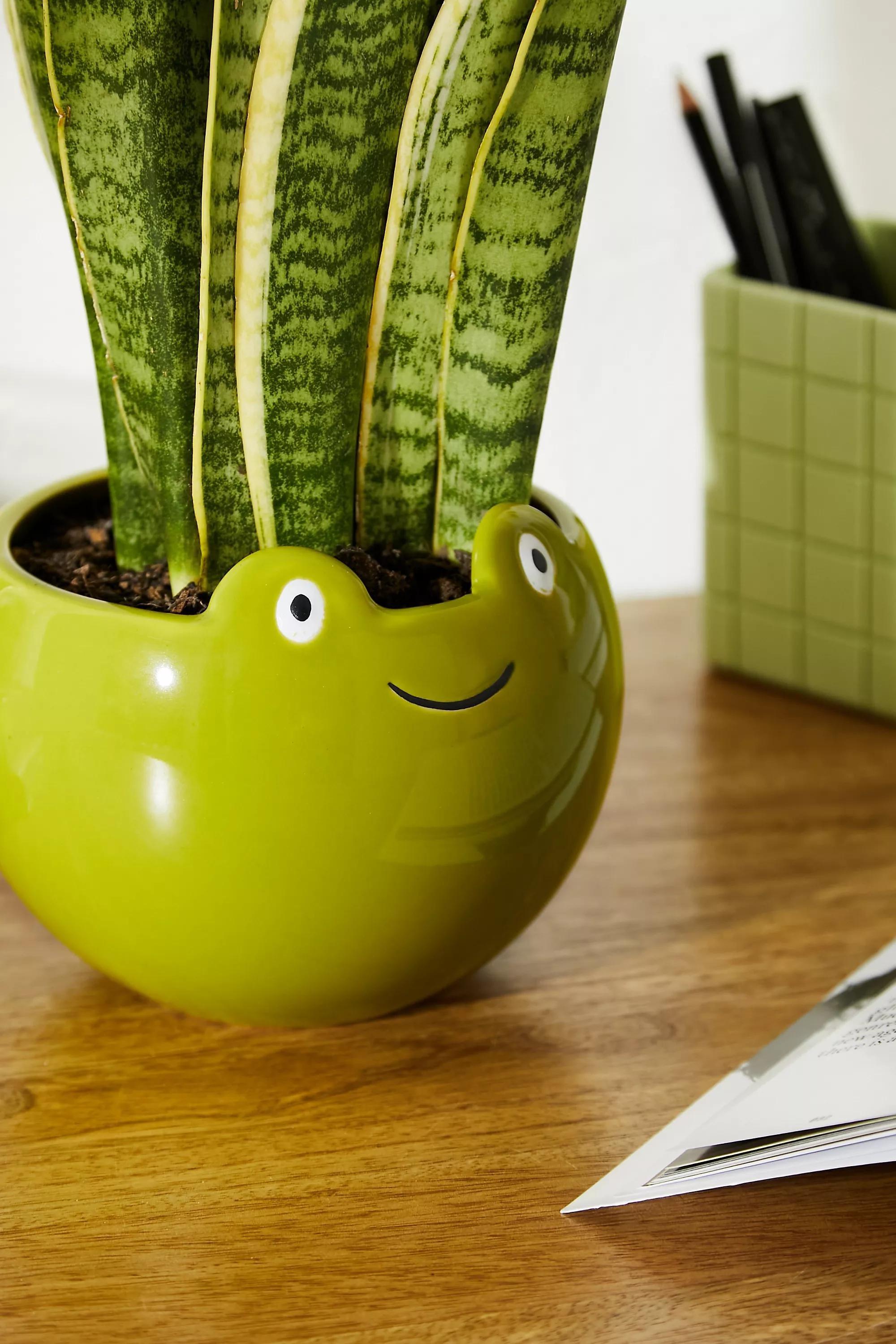 Green Froggy Plant Pot, GRN, large image number 1