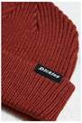 Urban Outfitters - Red Dickies Brick Woodworth Beanie