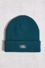 Urban Outfitters - Turquoise Dickies Teal Gibsland Beanie