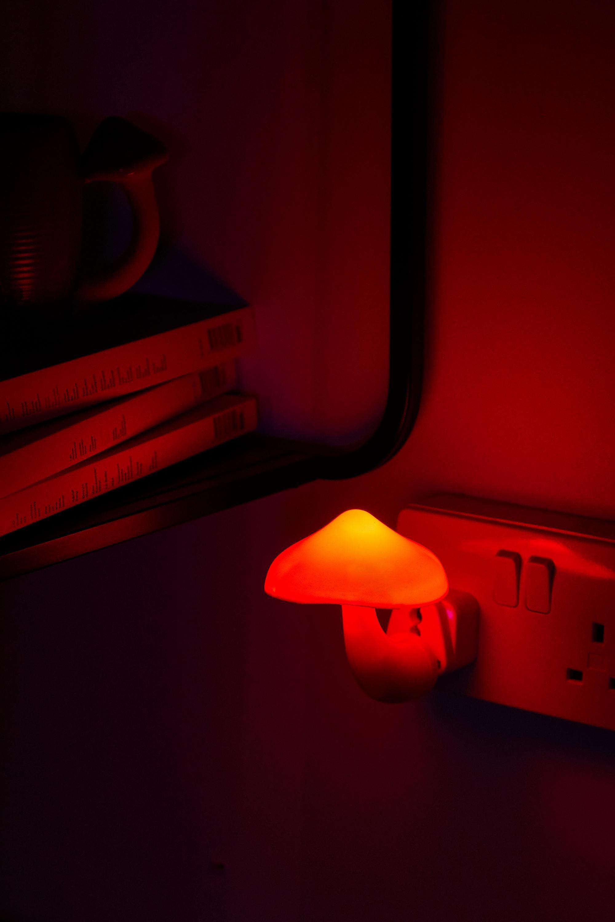 Multicolour Uo Exclusive Wild Mushroom Plug-In Nightlight, ASSORT, large image number 3