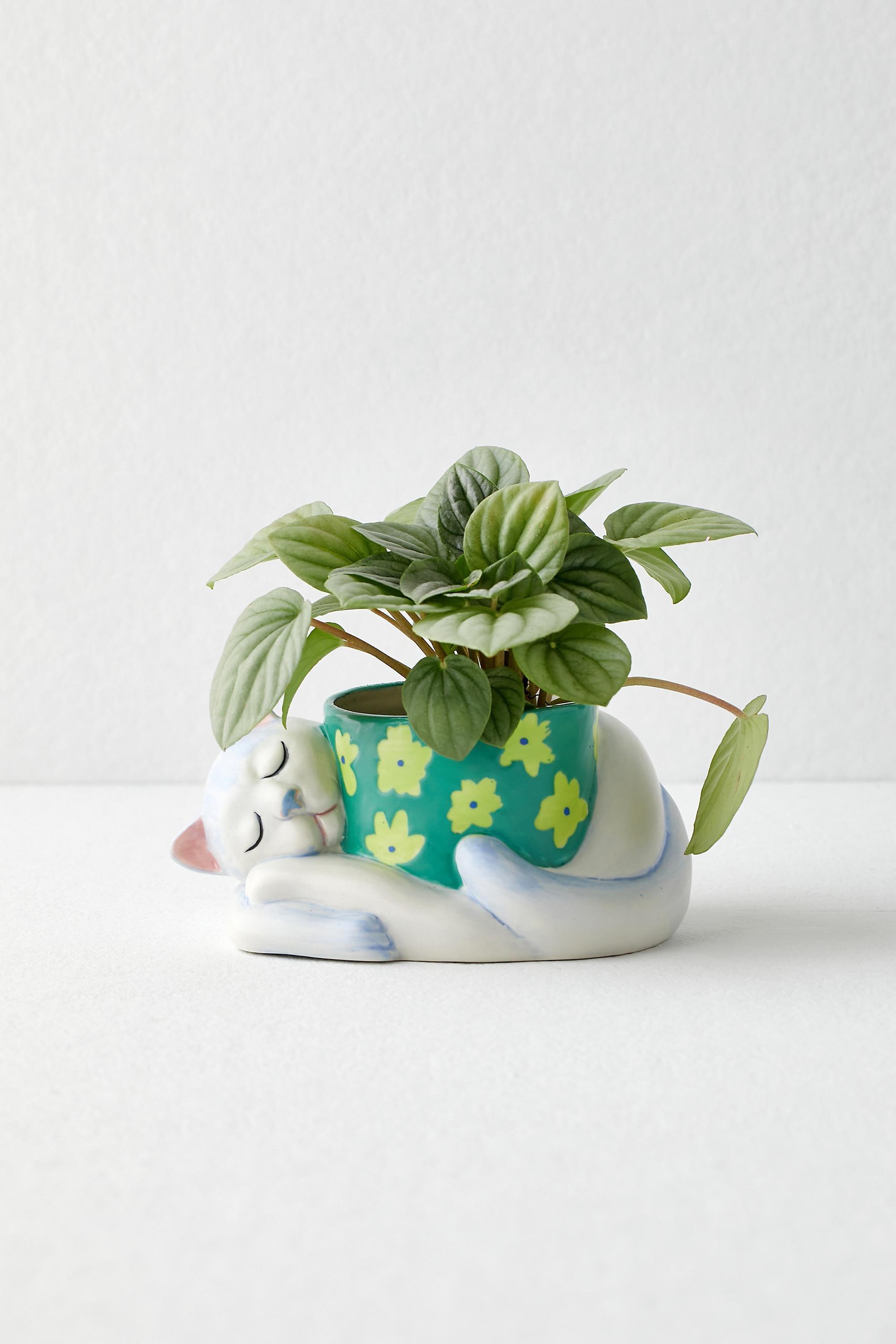 Cat Nap Planter, ASSORT, large image number 2