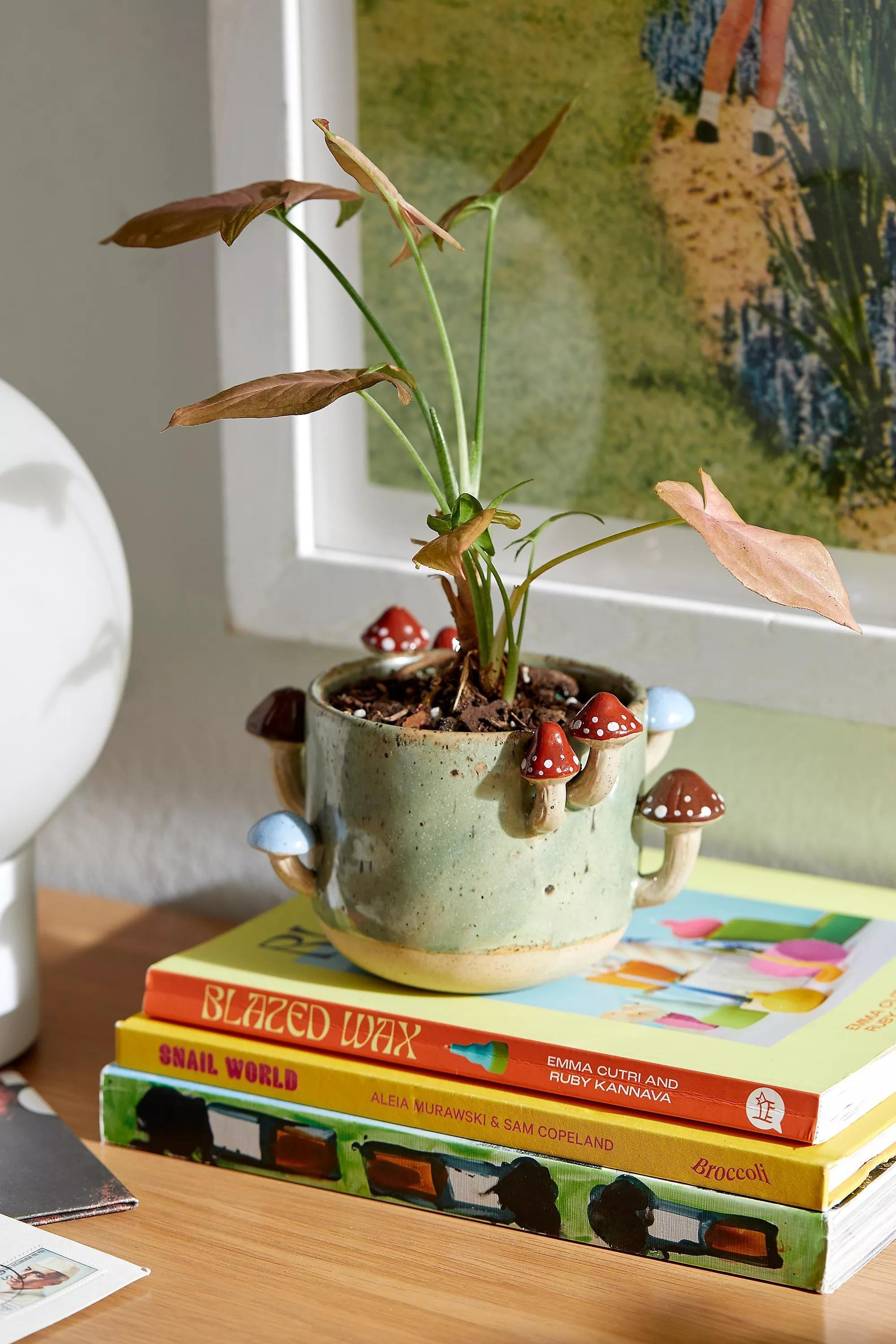 Green Sprouting Mushroom Planter, GRN, large image number 0