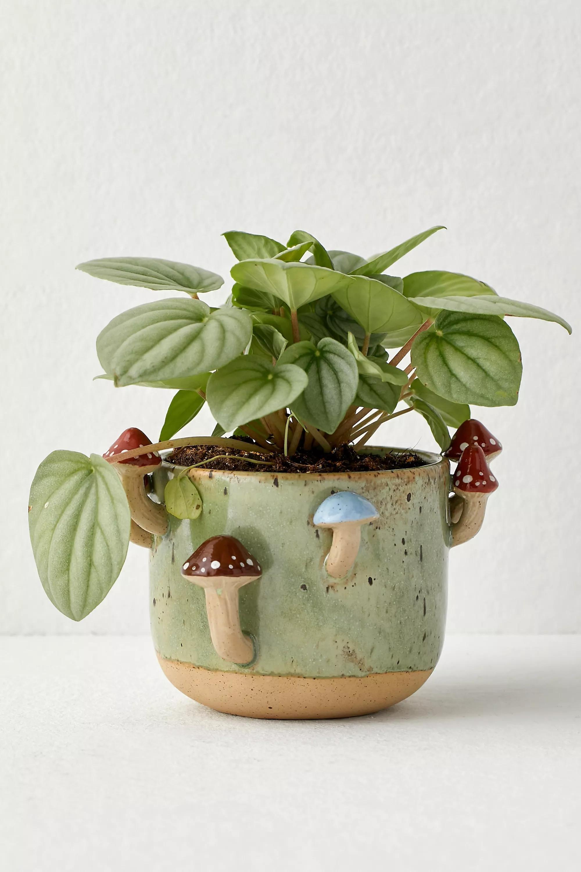 Green Sprouting Mushroom Planter, GRN, large image number 1