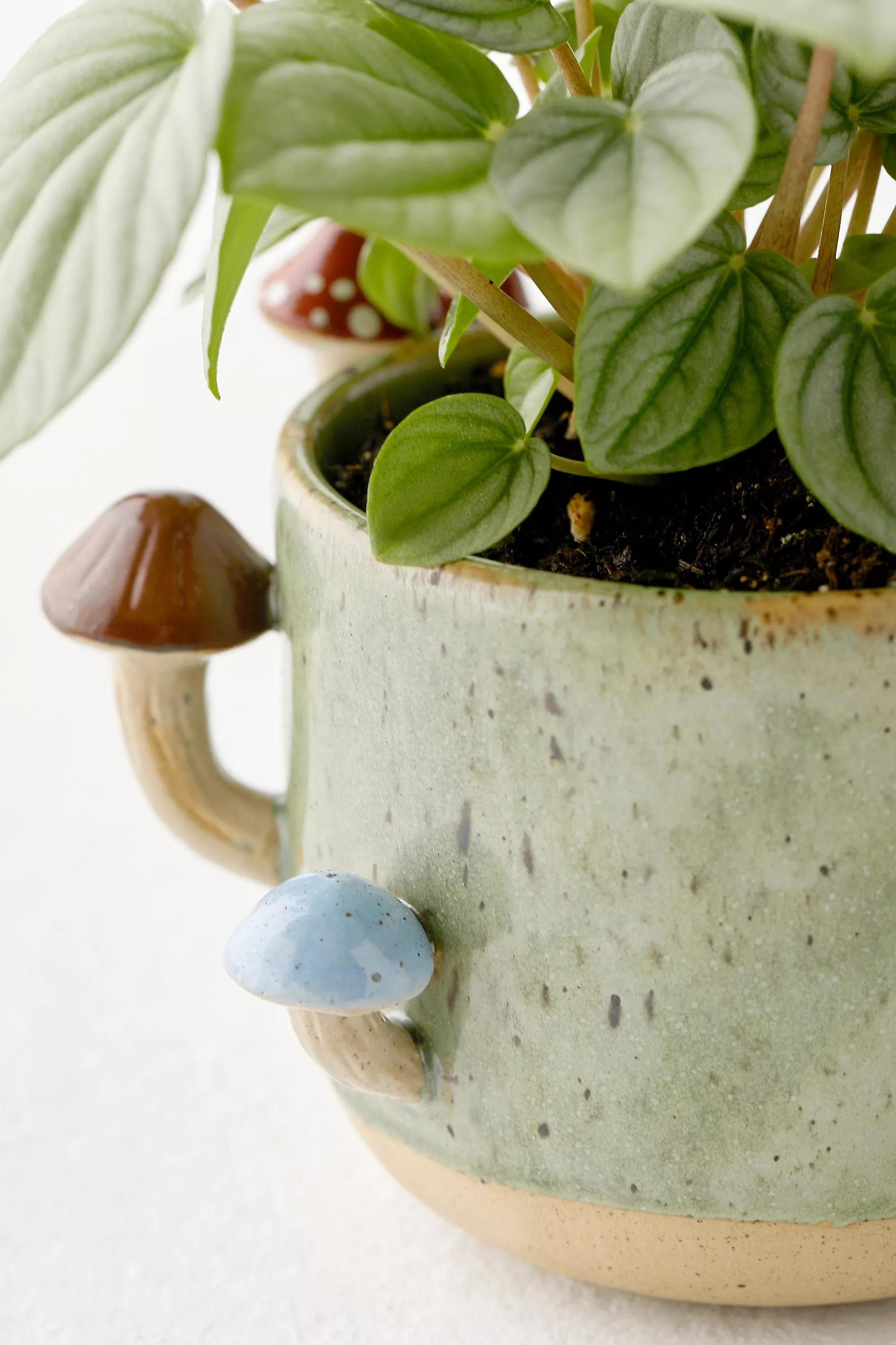 Green Sprouting Mushroom Planter, GRN, large image number 4