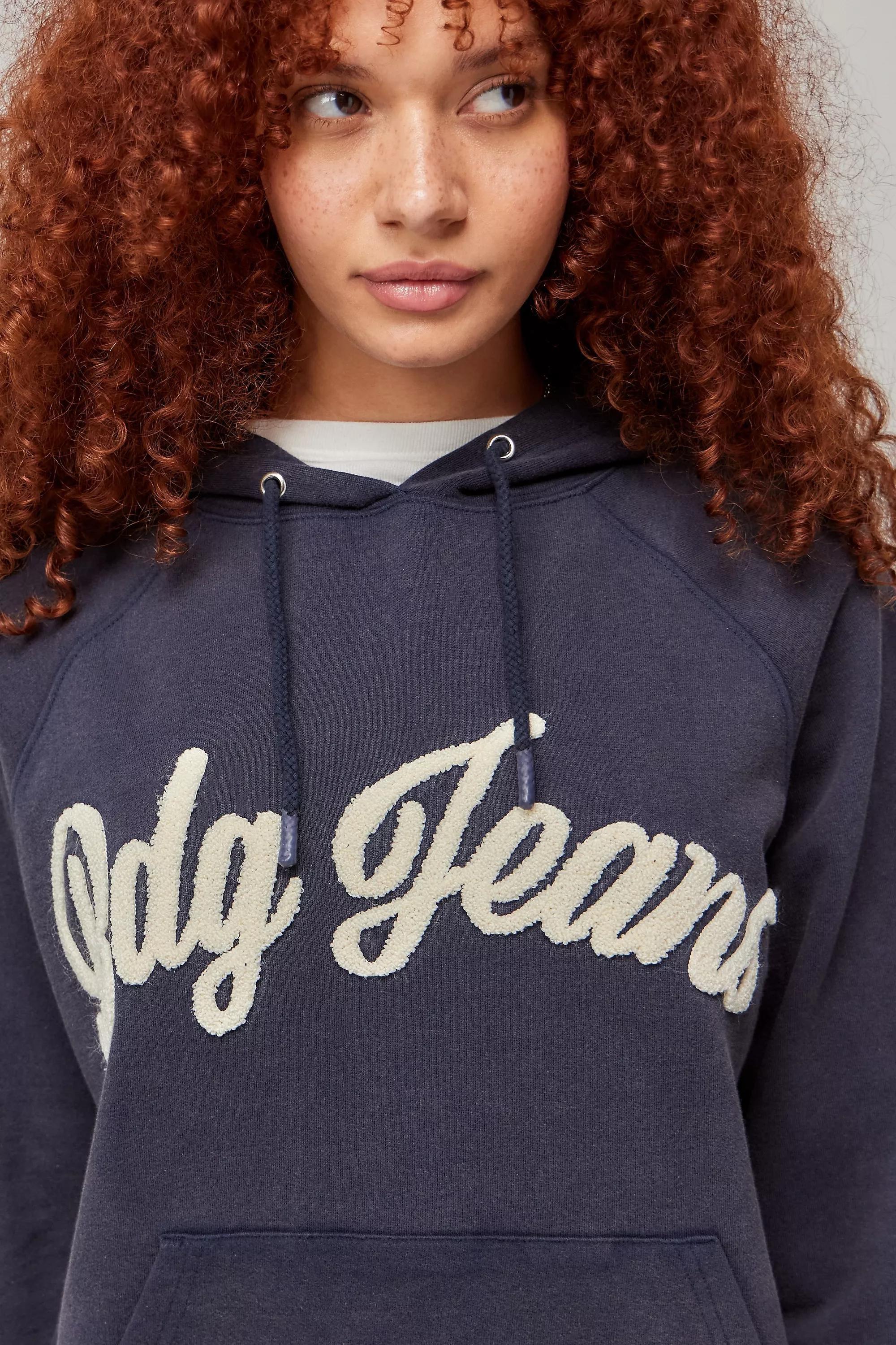 Navy Bdg Script Applique Hoodie, , large image number 0