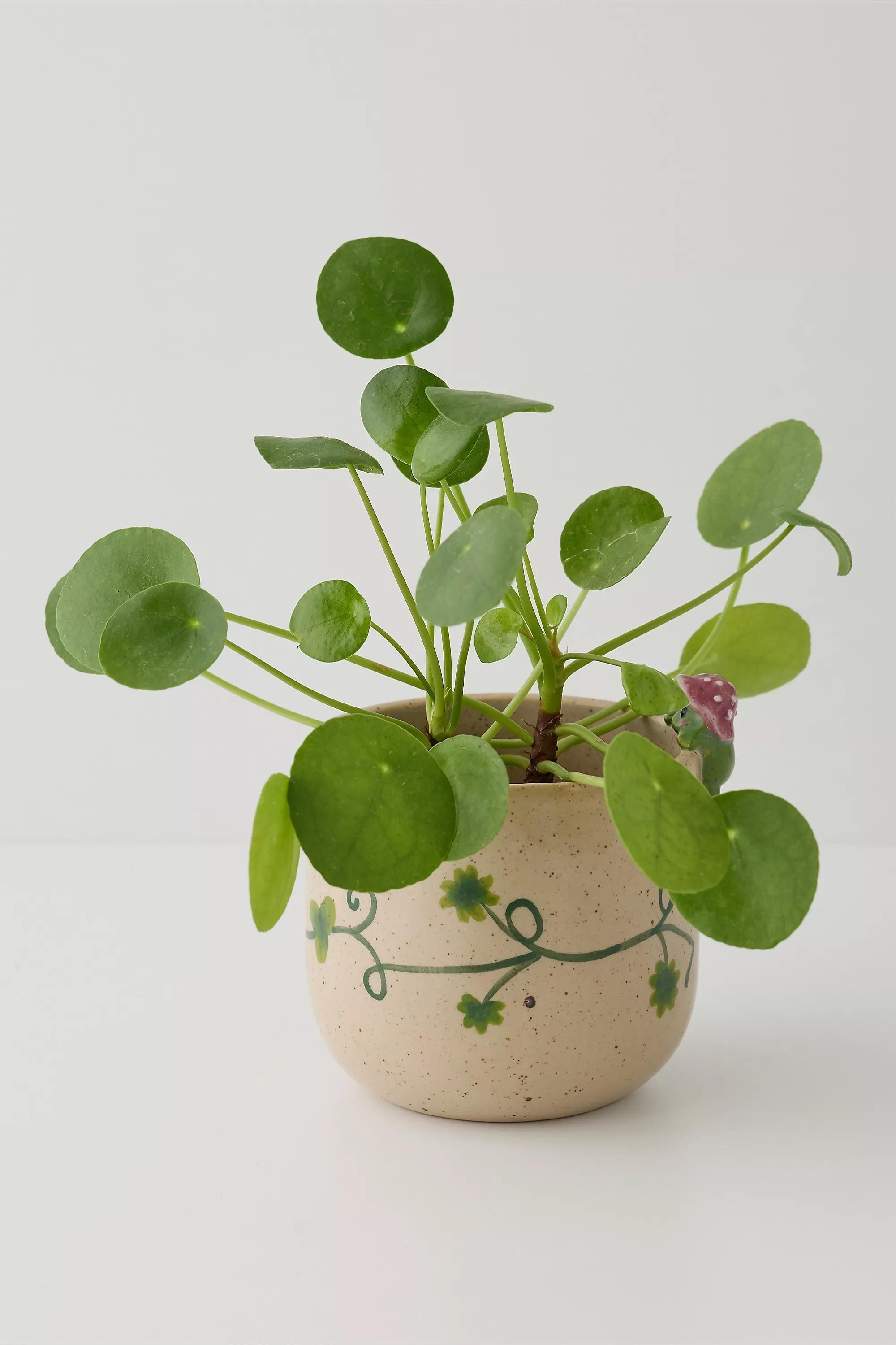 Multicolour Peeking Frog Planter, ASSORT, large image number 0