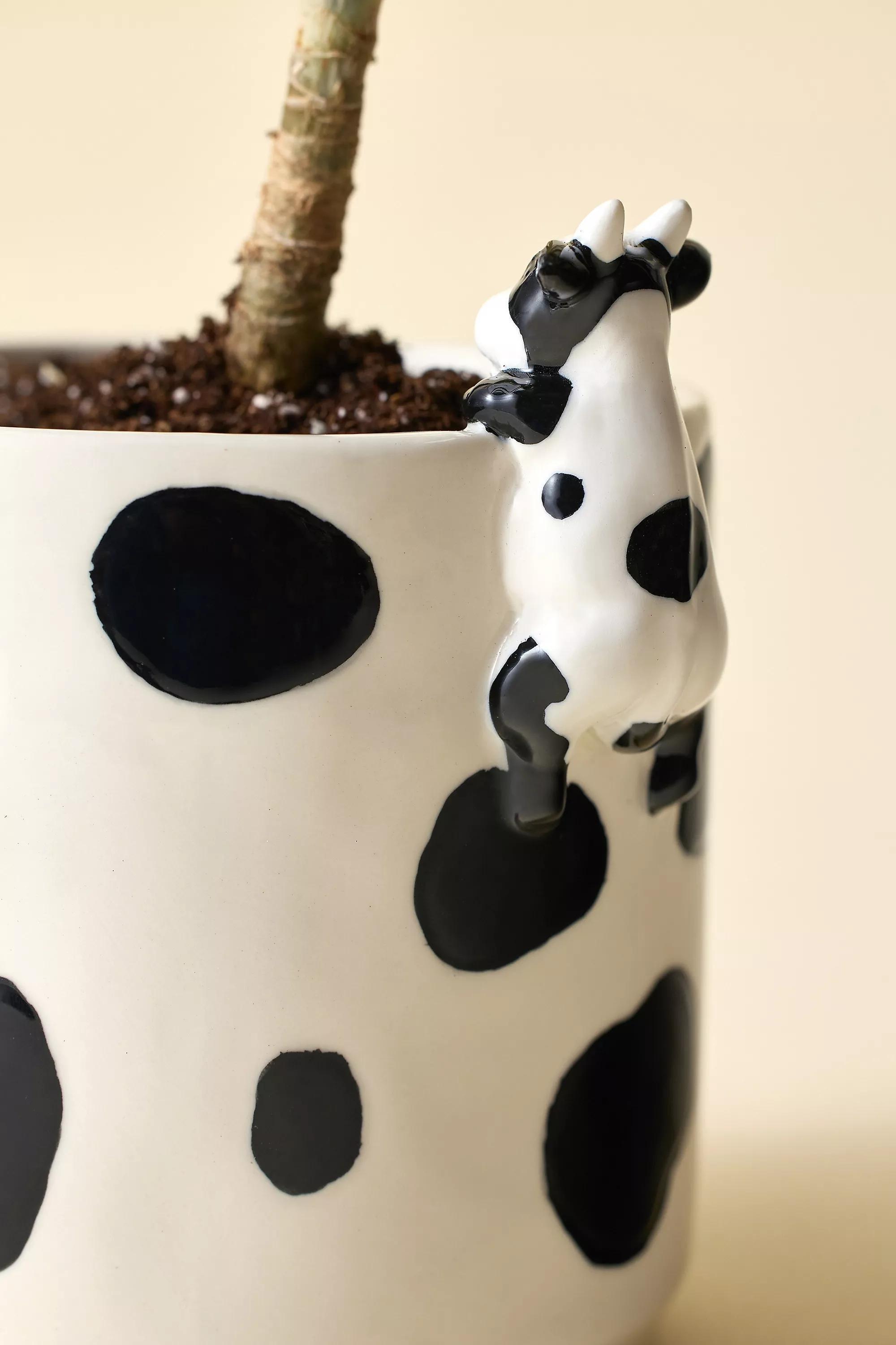 White Peeking Cow Planter, B&W, large image number 1