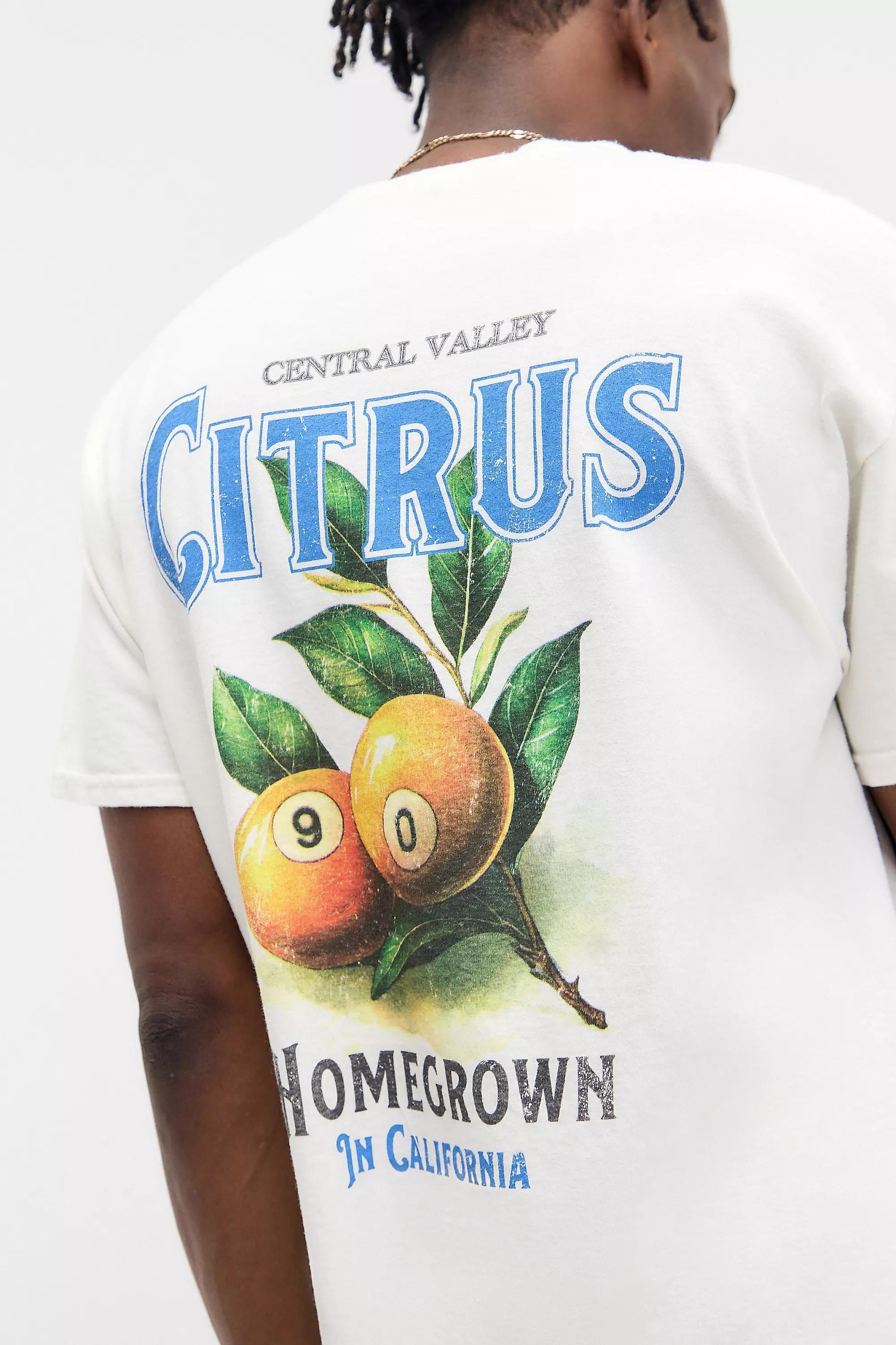 Cream Uo Ecru Homegrown T-Shirt, , large image number 3
