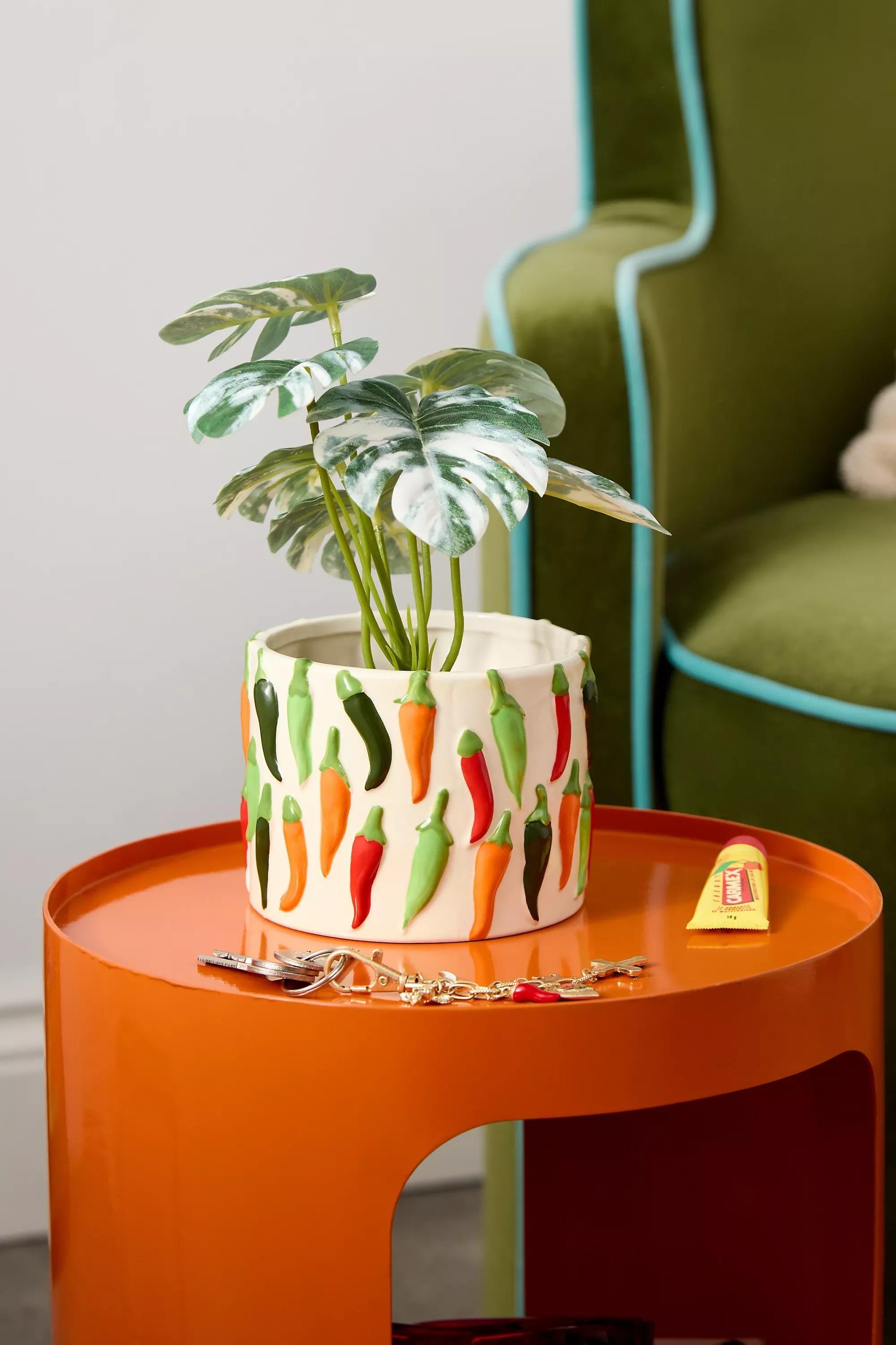 Assort Chilli Planter, , medium