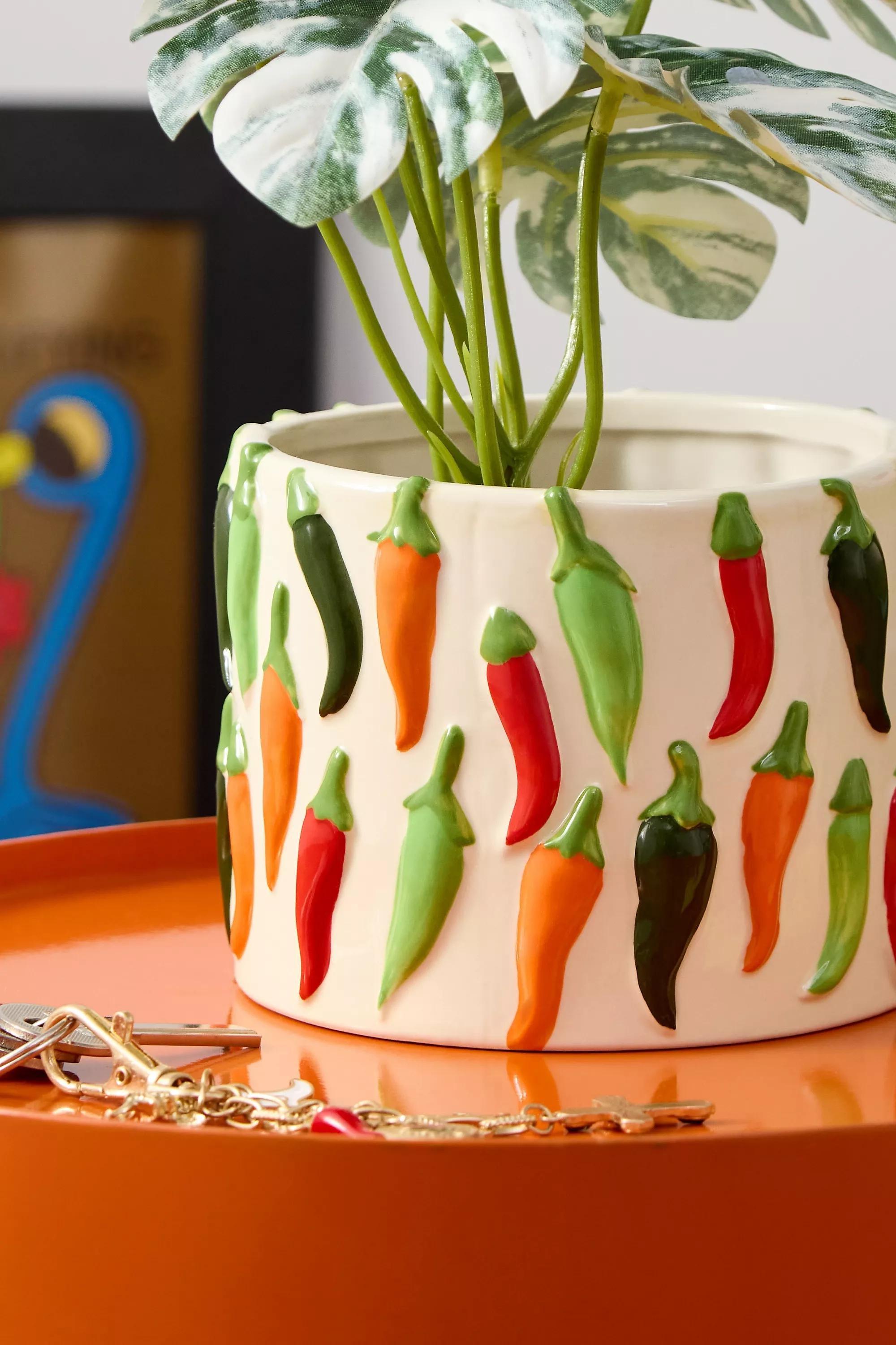 Assort Chilli Planter, ASSORT, large image number 1