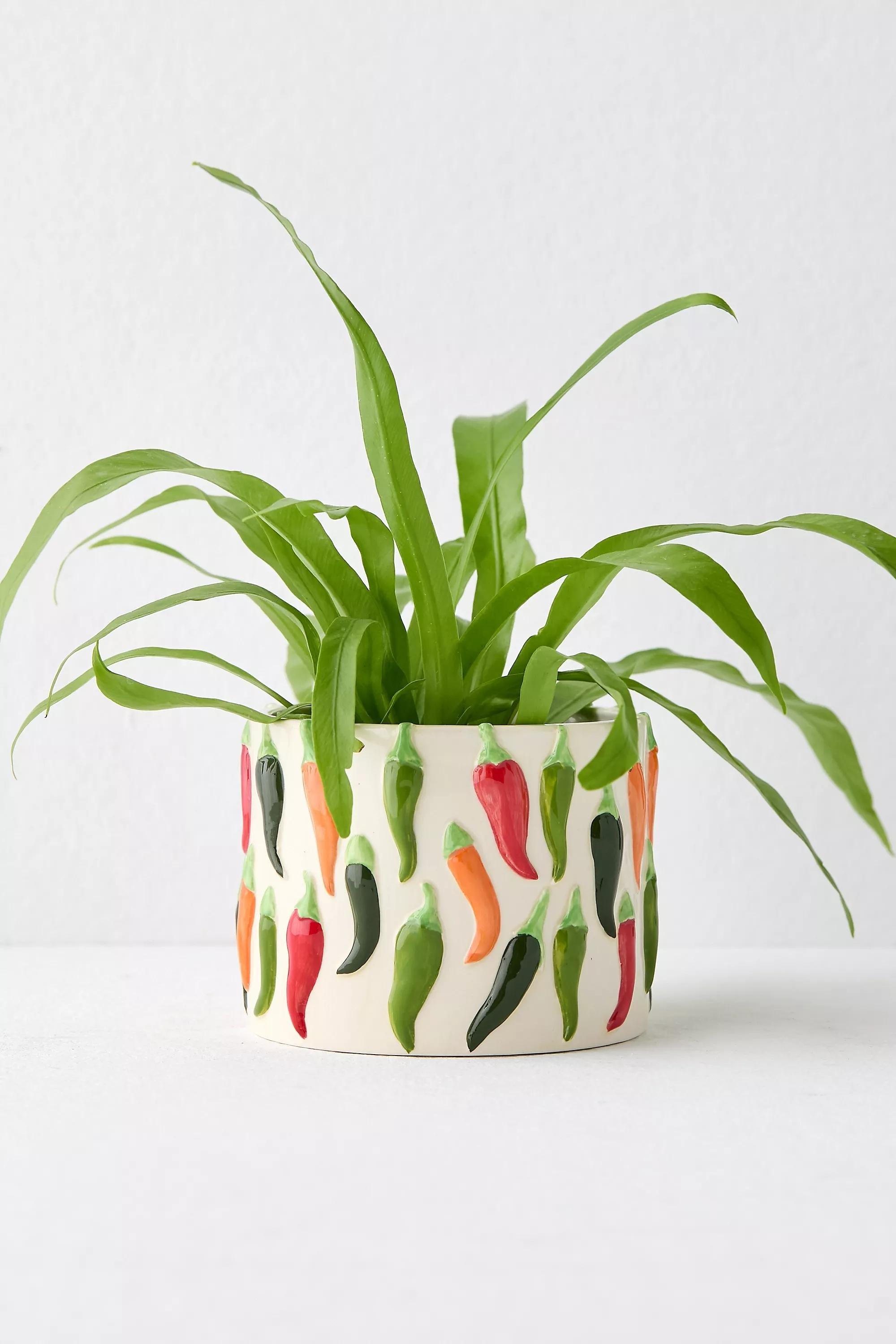 Assort Chilli Planter, ASSORT, large image number 4