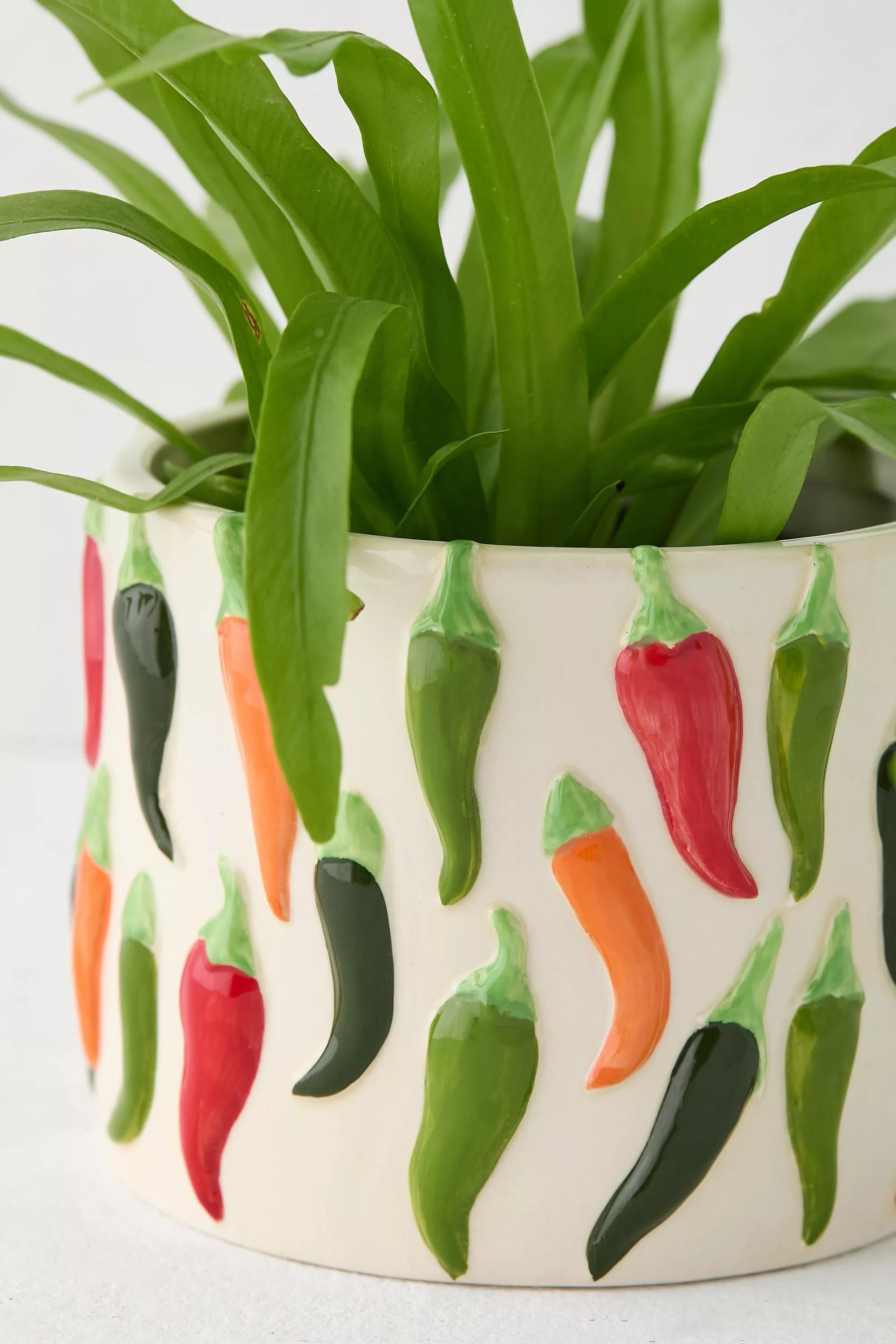 Assort Chilli Planter, ASSORT, large image number 5
