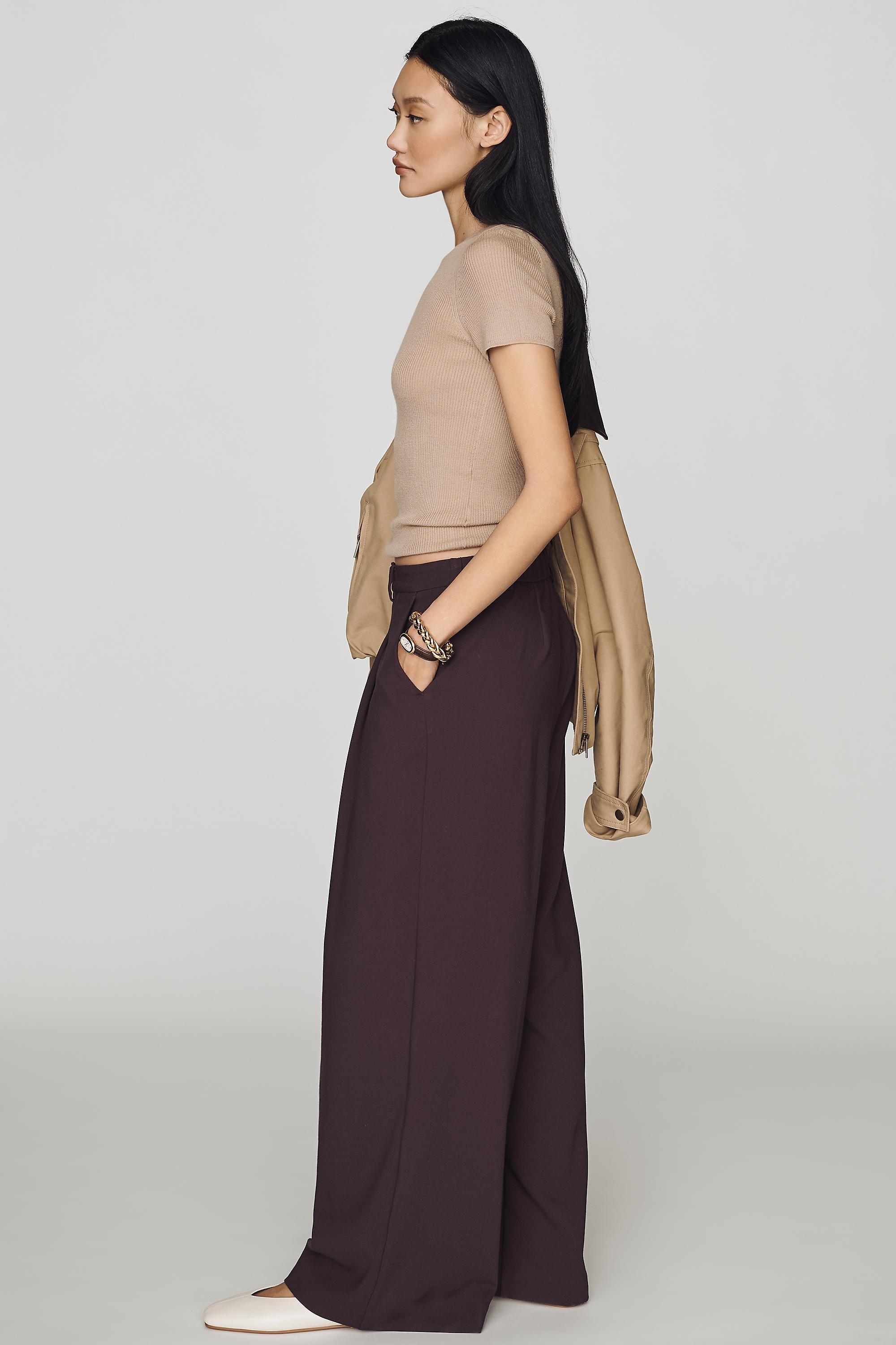 The Avery Wide-Leg Pleated Trousers by Maeve, Women, Brown, large image number 2