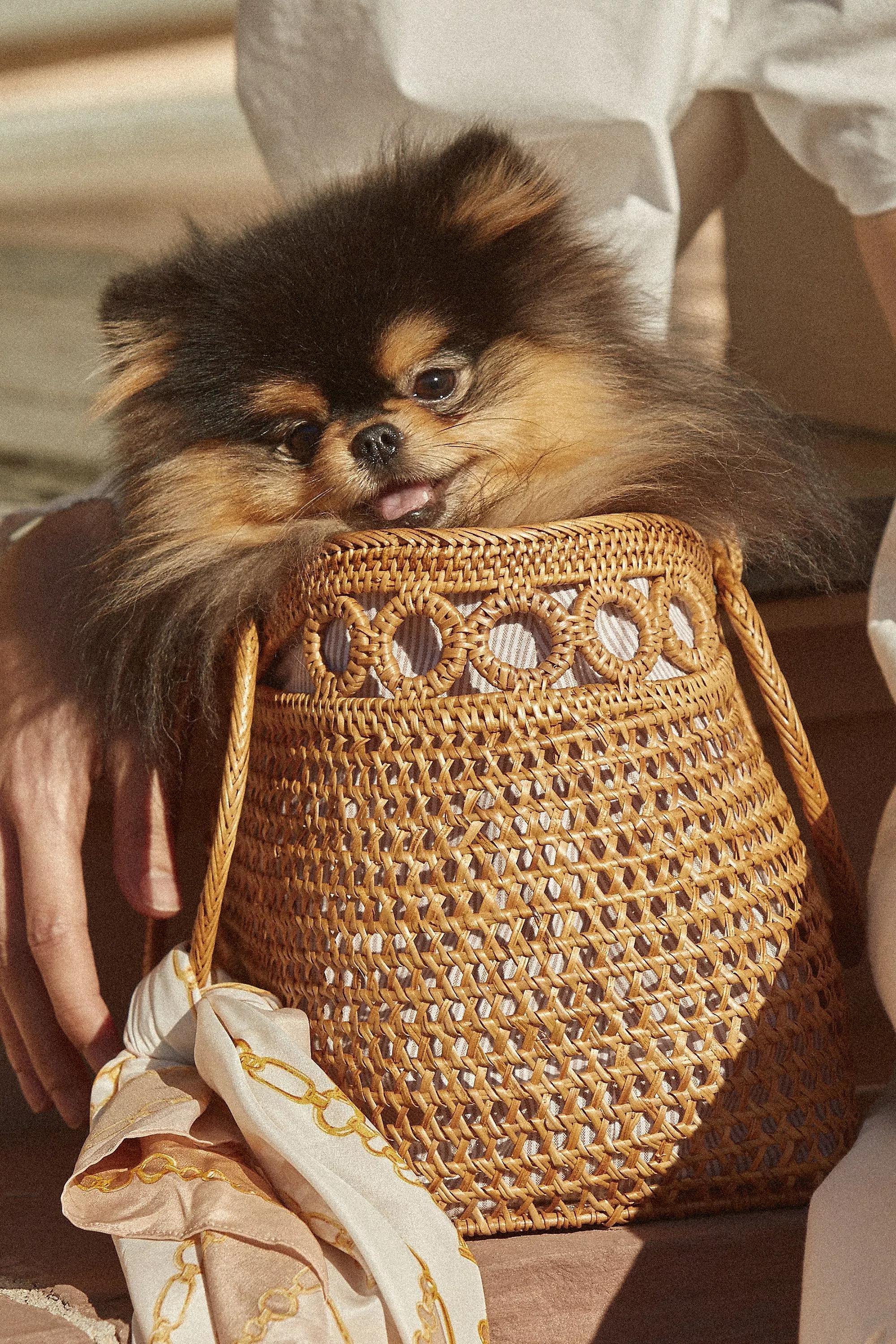 Bali Square Circle-Handle Satchel, Beige, , large image number 2