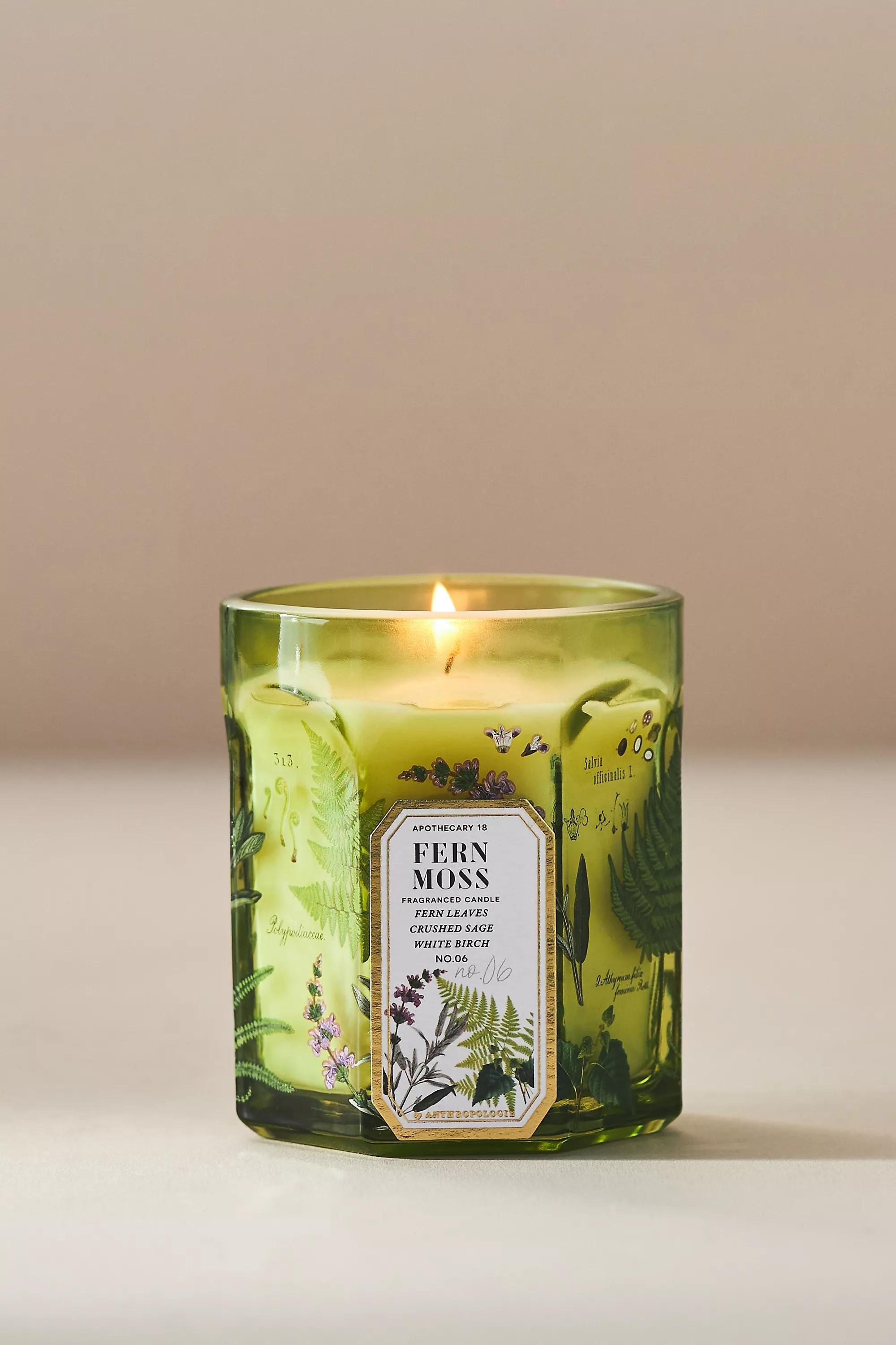 Apothecary 18 Fresh Fern Moss Glass Candle, A501_0237, medium