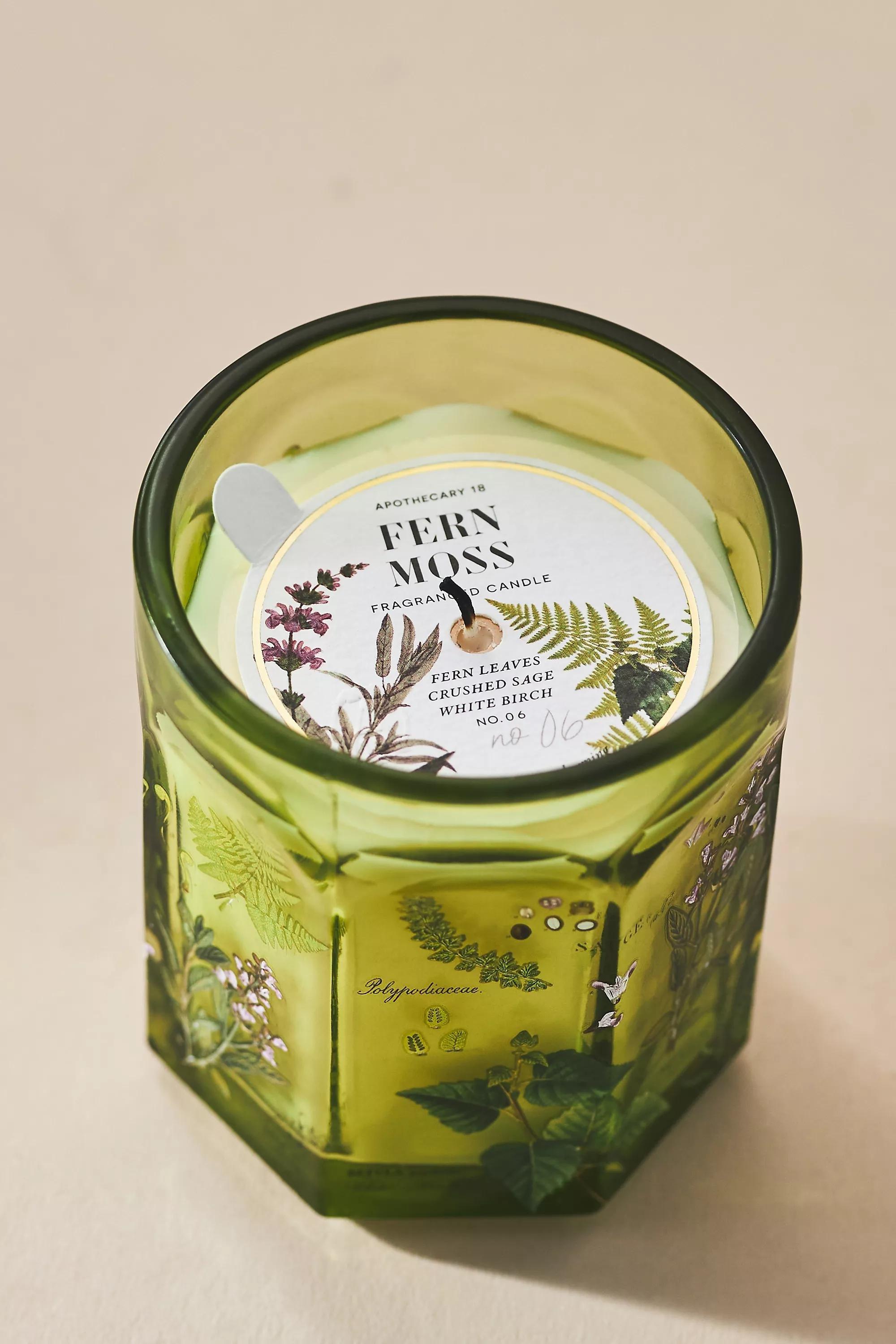 Apothecary 18 Fresh Fern Moss Glass Candle, A501_0237, large image number 2