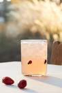 Anthropologie - Icon Juice Glasses, Red