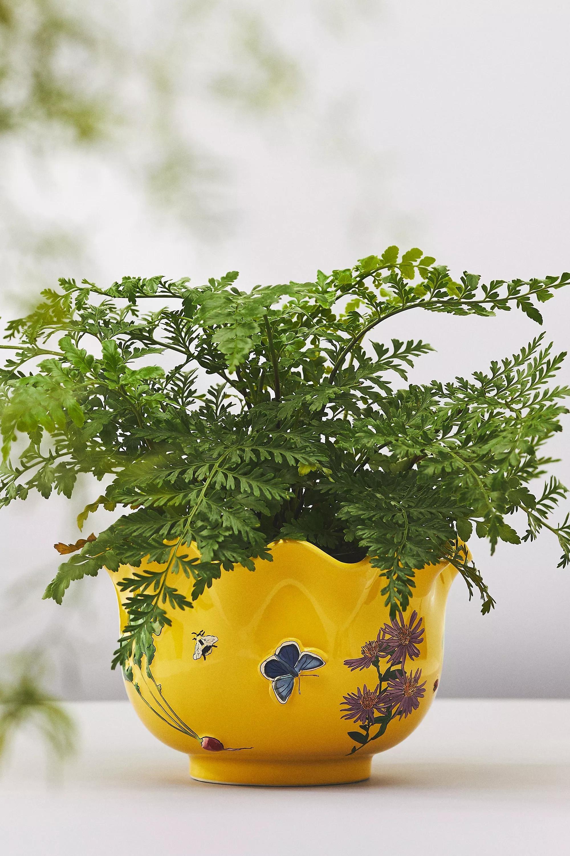 LT ORANGE Faye Glazed Stoneware Plant Pot, A501_0087, large image number 0