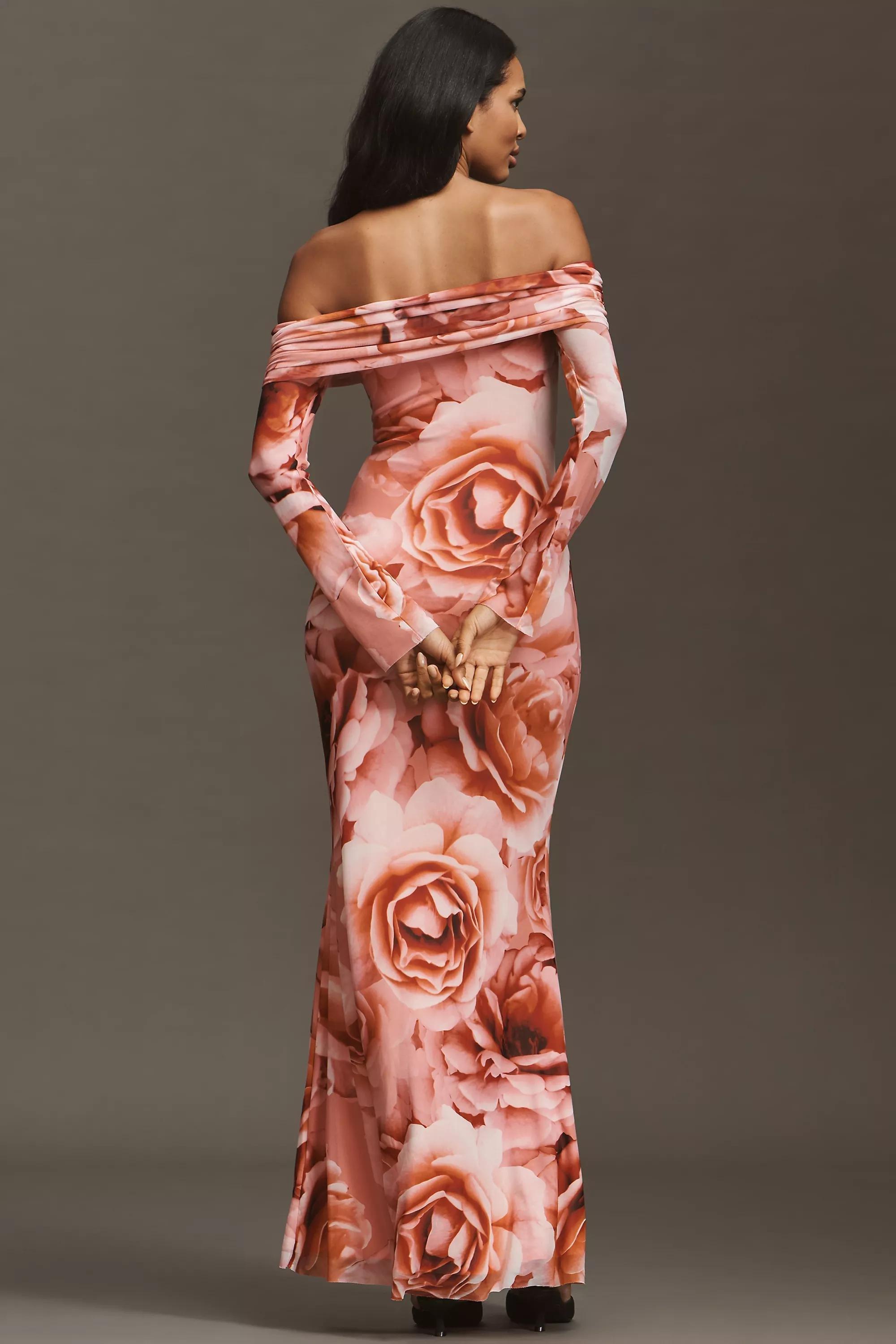 Afrm Long-Sleeve Off-The-Shoulder Mesh Maxi Dress, Orange, A501_0067, large image number 1