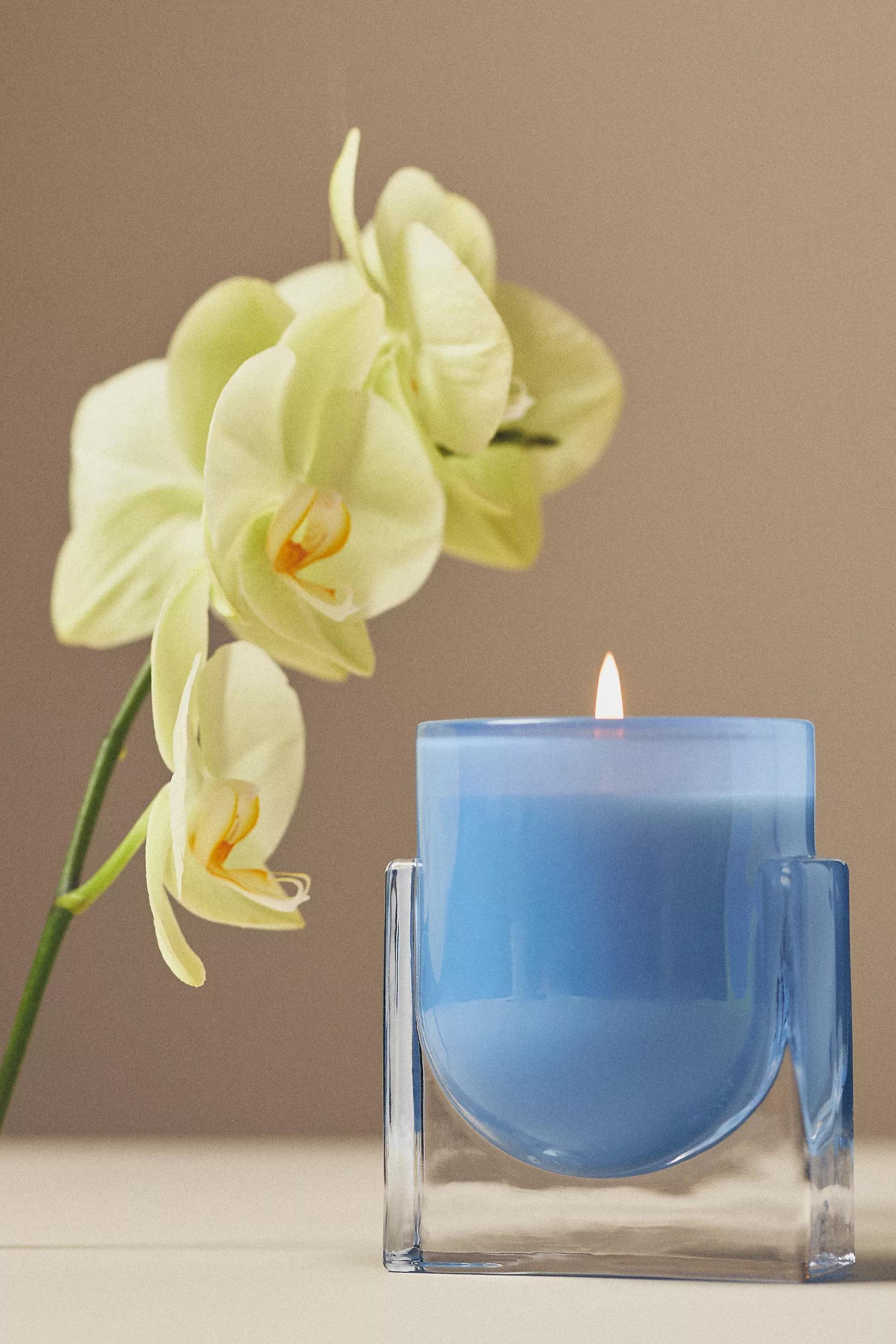 Found Notes Floral Yuzu & Neroli Boxed Candle, Blue, A501_0040, large image number 0