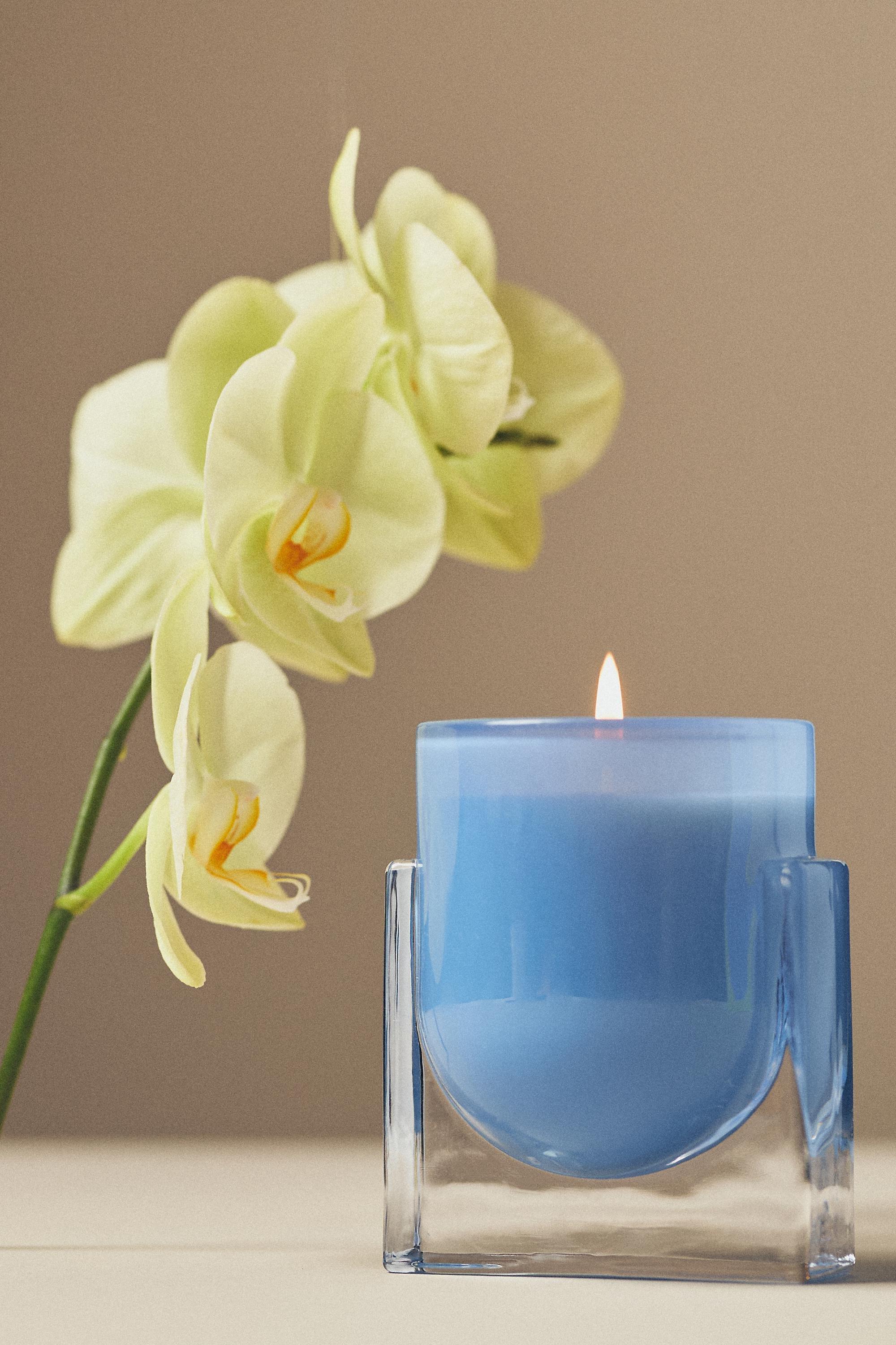 Found Notes Floral Yuzu & Neroli Boxed Candle, Blue, Blue, medium