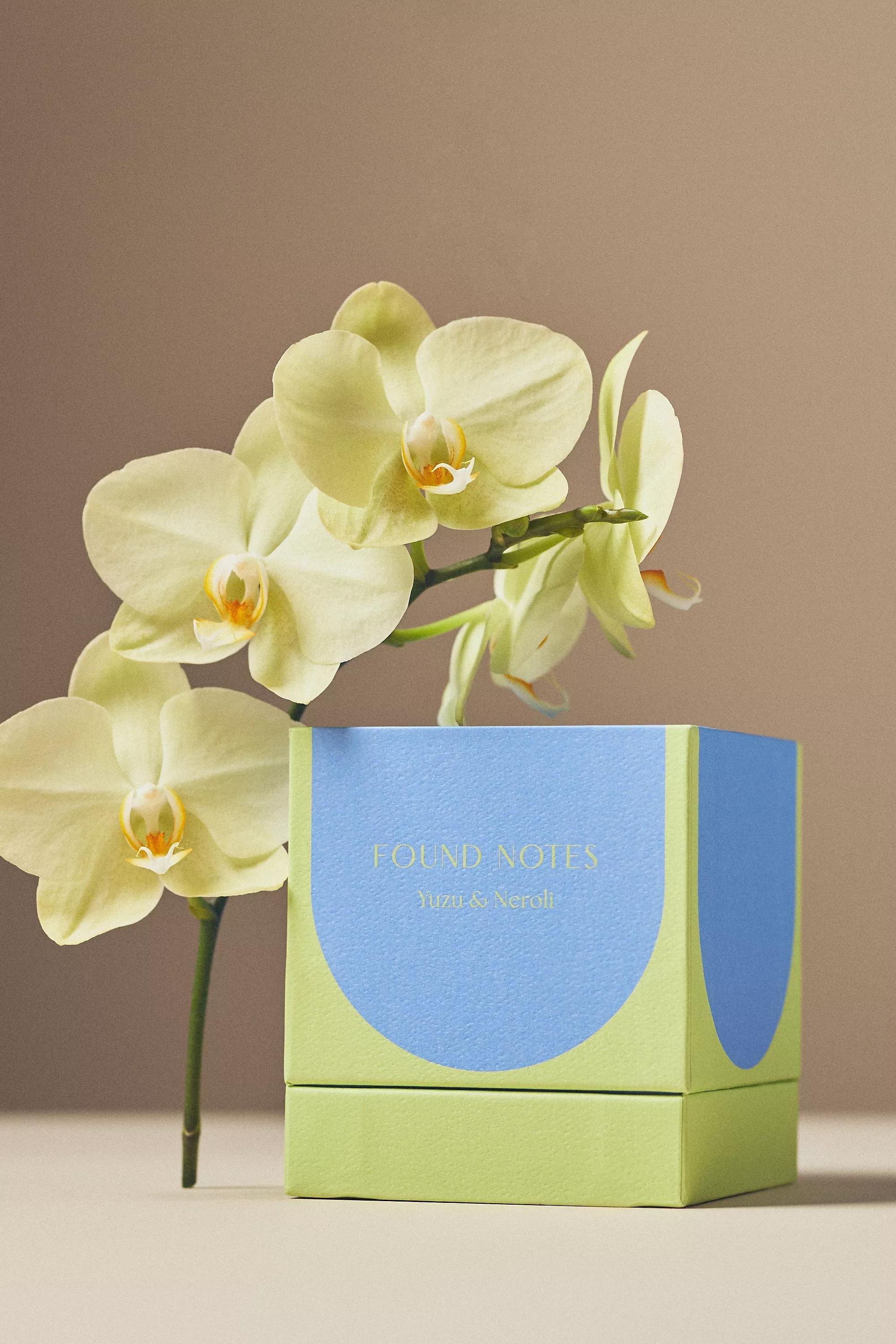 Found Notes Floral Yuzu & Neroli Boxed Candle, Blue, A501_0040, large image number 2