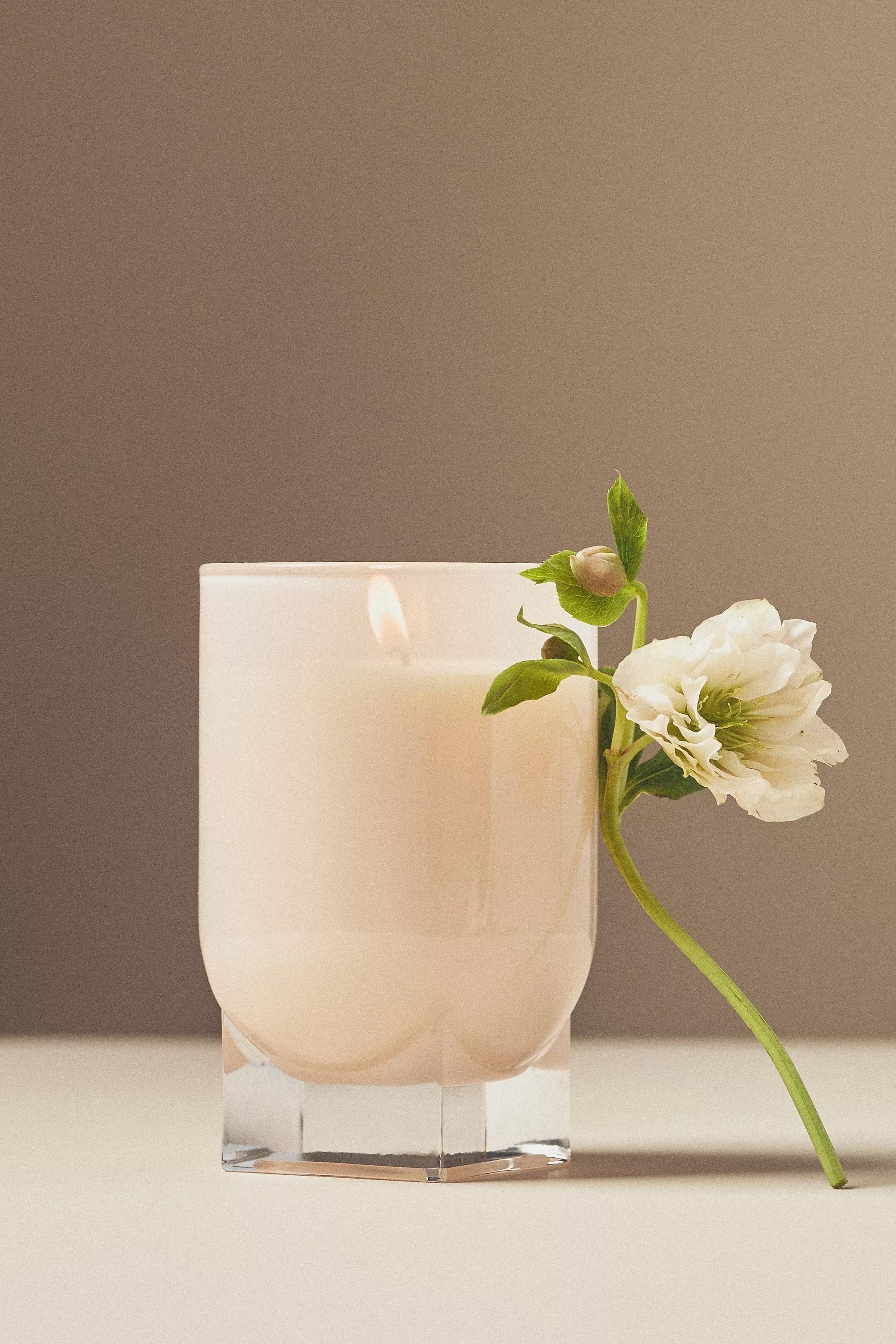 Found Notes Gourmand Vanilla & Dark Plum Large Glass Candle, Cream, A501_0011, large image number 0