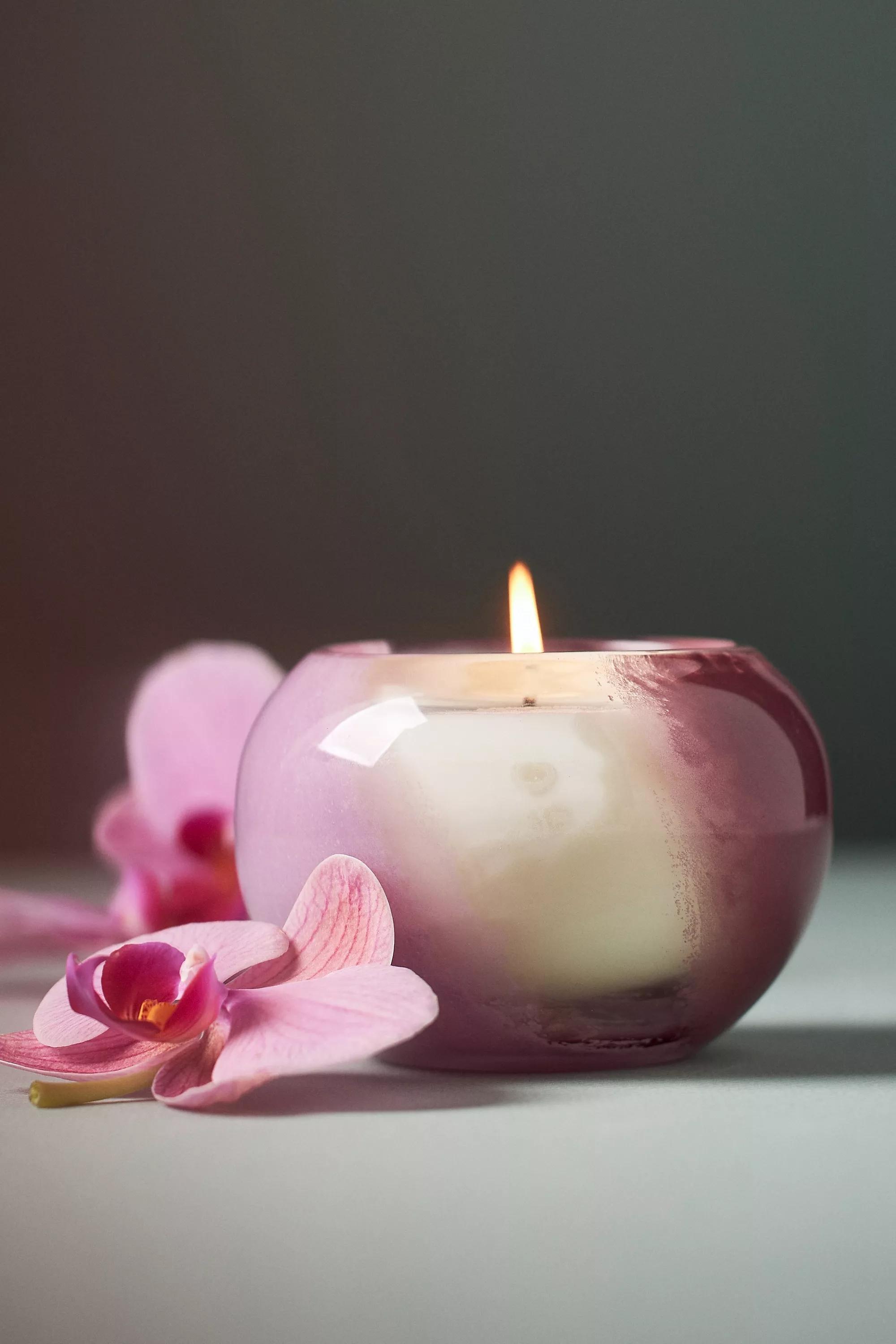 The Loved Woody Salted Moss And Lavender Glass Candle, Purple, A501_0053, large image number 0