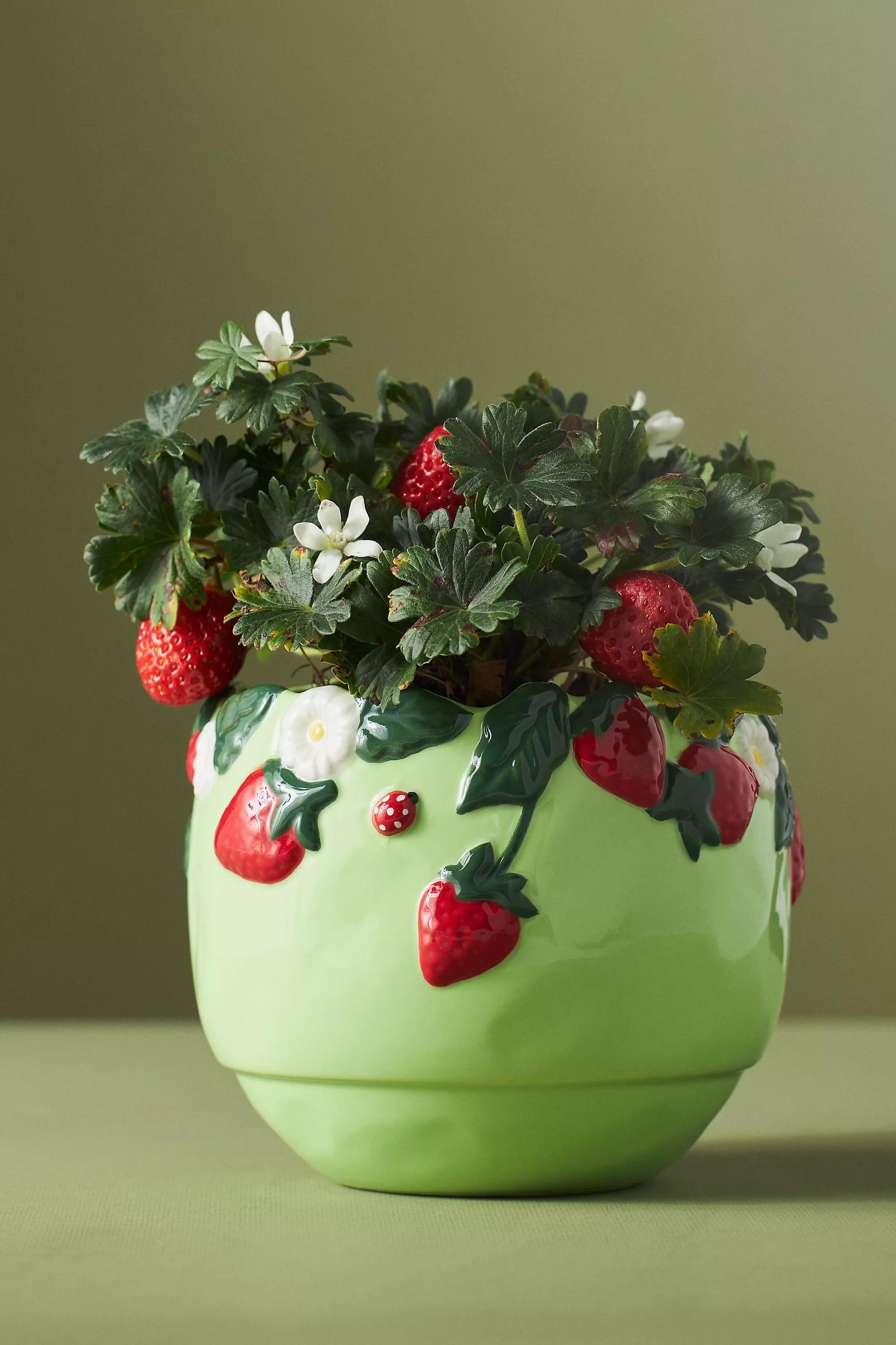 Foster Stoneware Flower Pot, Green, A501_0237, large image number 0
