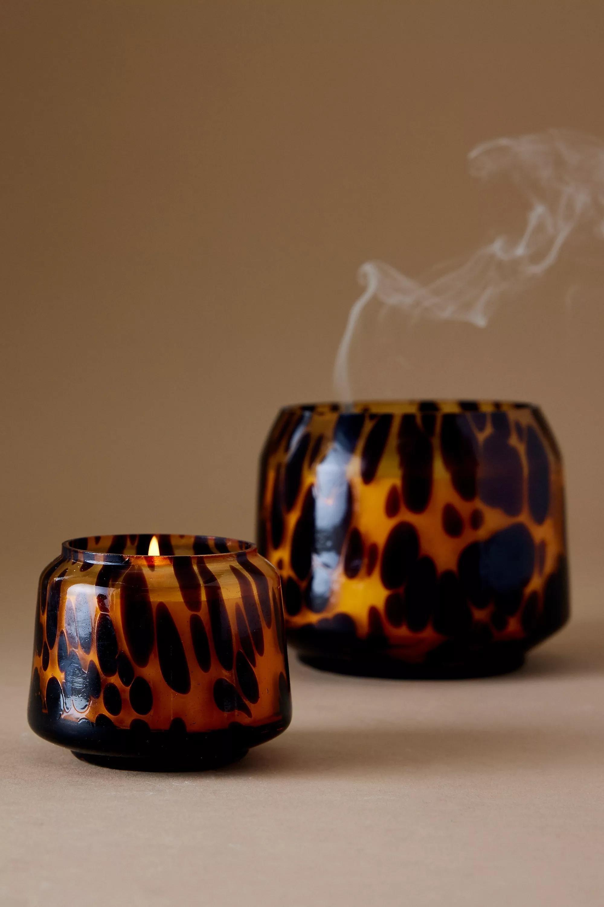 CREME The Gather Candle by Anthropologie: Cheena Fern Moss, A501_0012, large image number 0