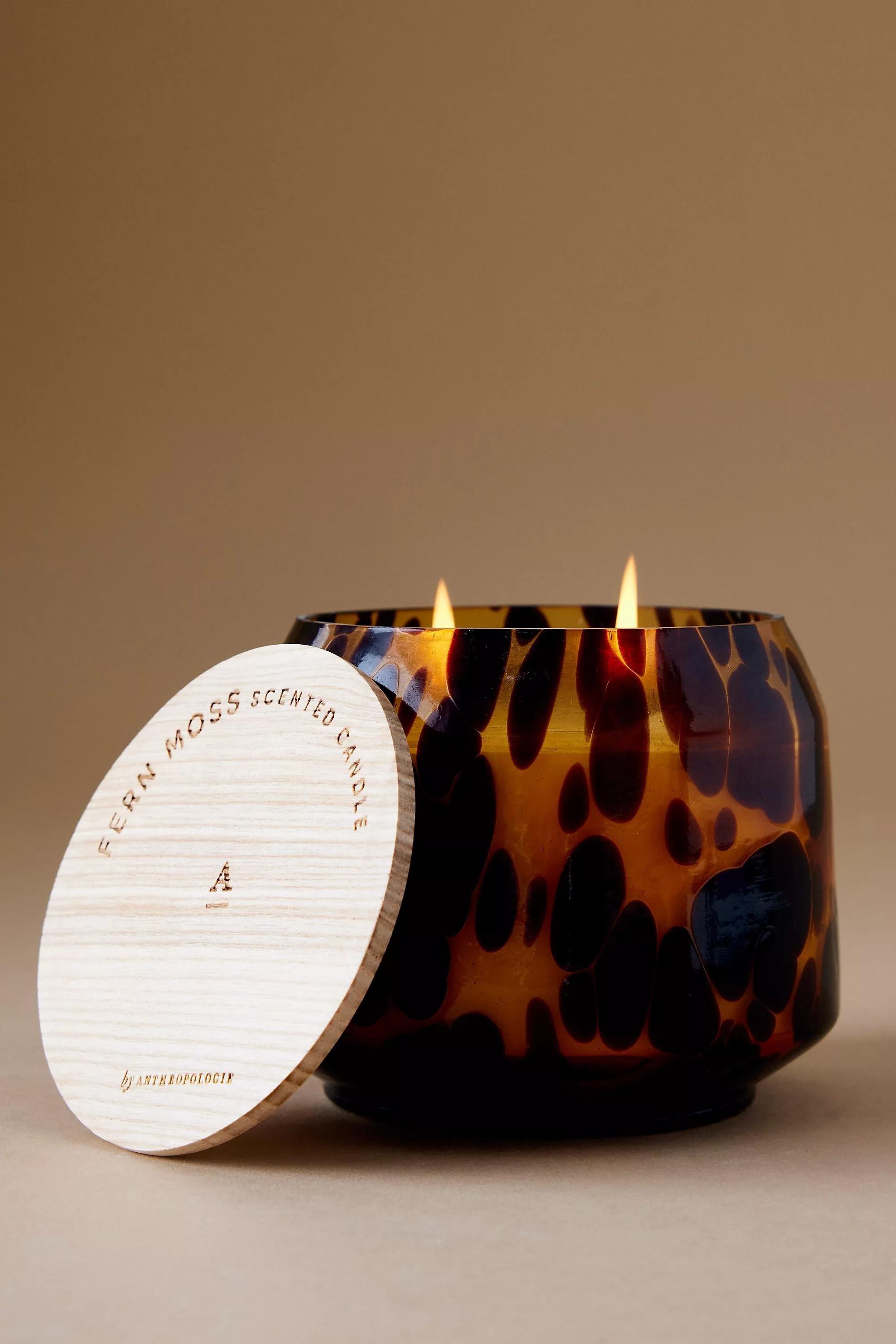 CREME The Gather Candle by Anthropologie: Cheena Fern Moss, A501_0012, large image number 1