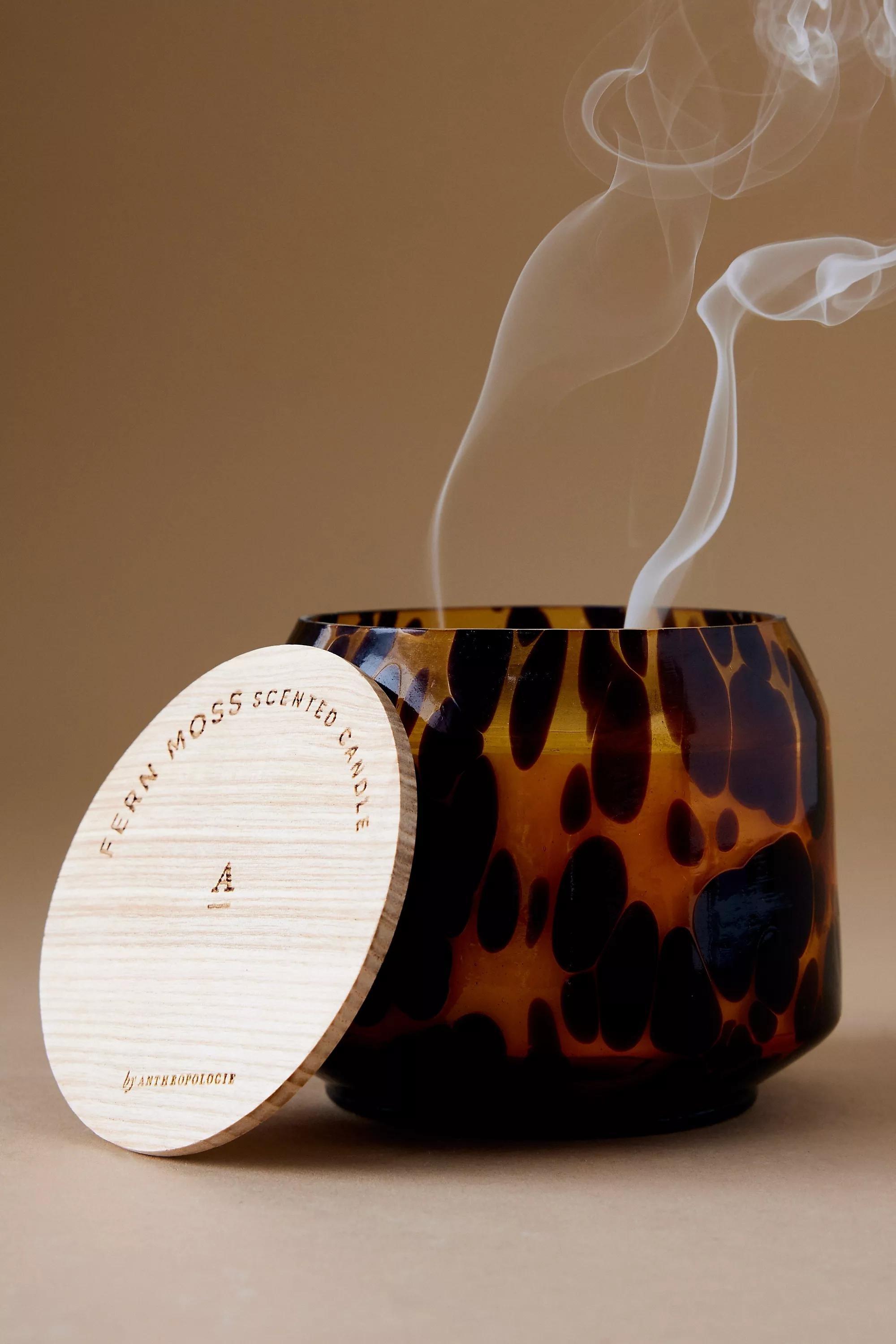 CREME The Gather Candle by Anthropologie: Cheena Fern Moss, A501_0012, large image number 2