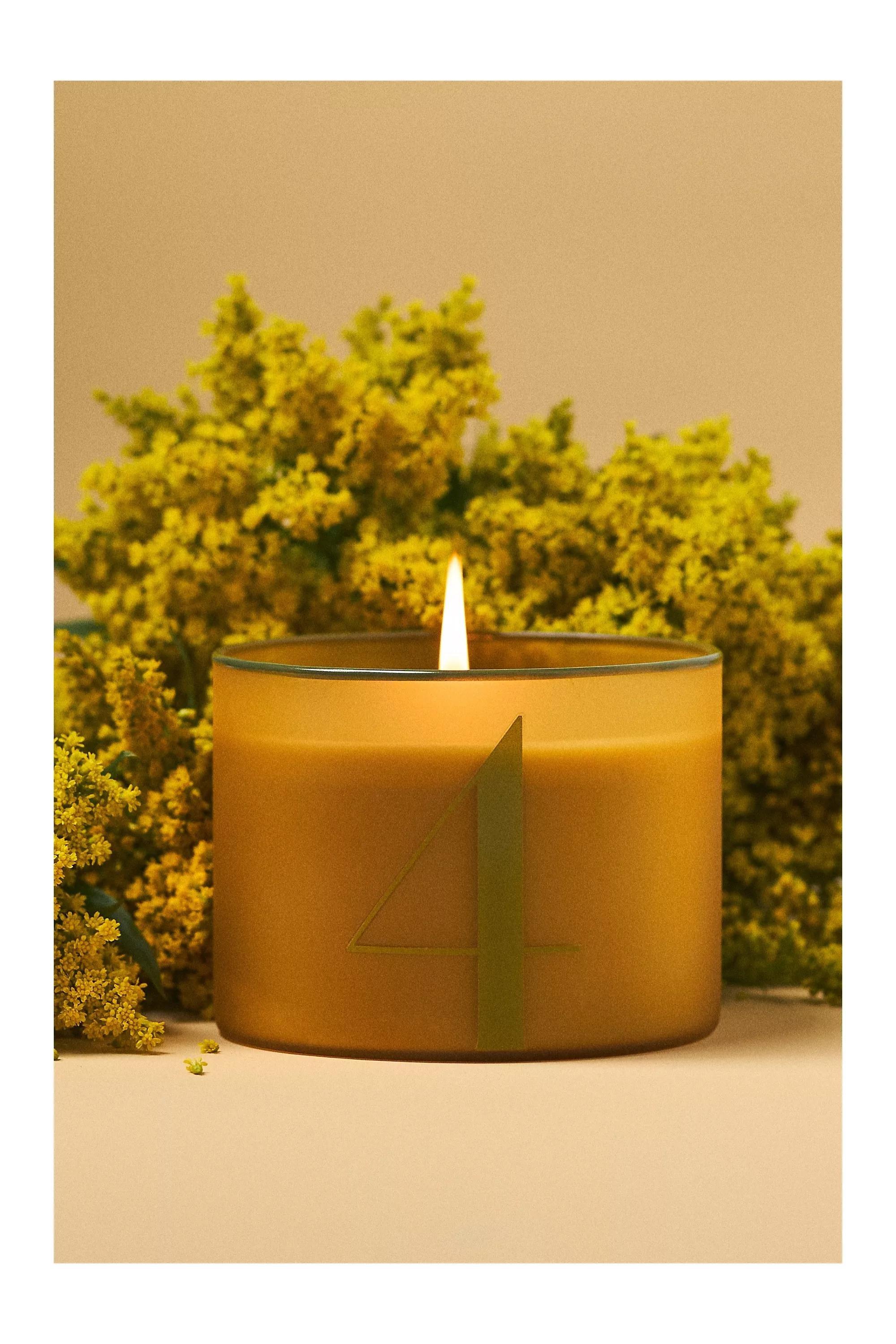 Number 4 Woody White Cedar & Thyme Glass Candle, Yellow, , medium