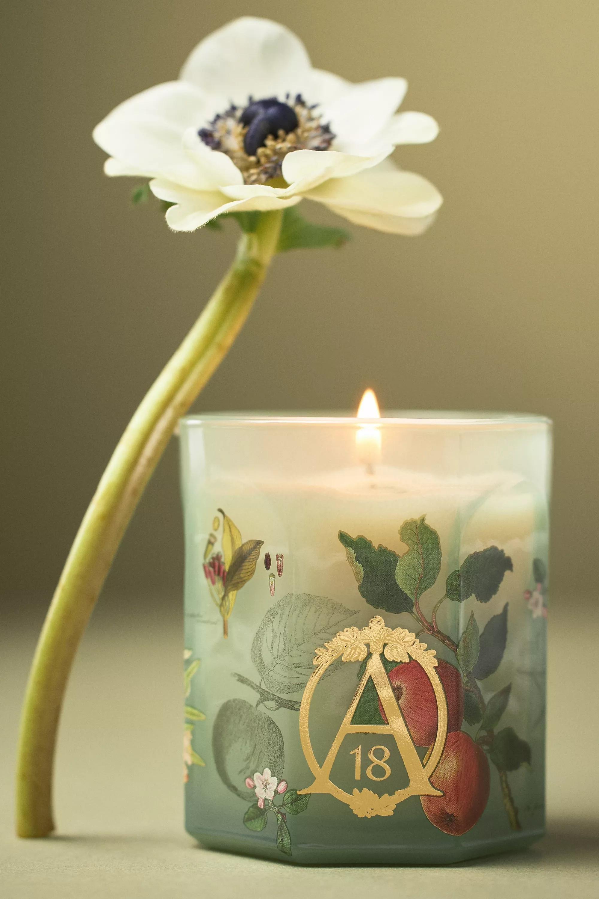 Apothecary 18 Spice Orchard Woods Boxed Glass Candle, Green, A501_0030, large image number 0
