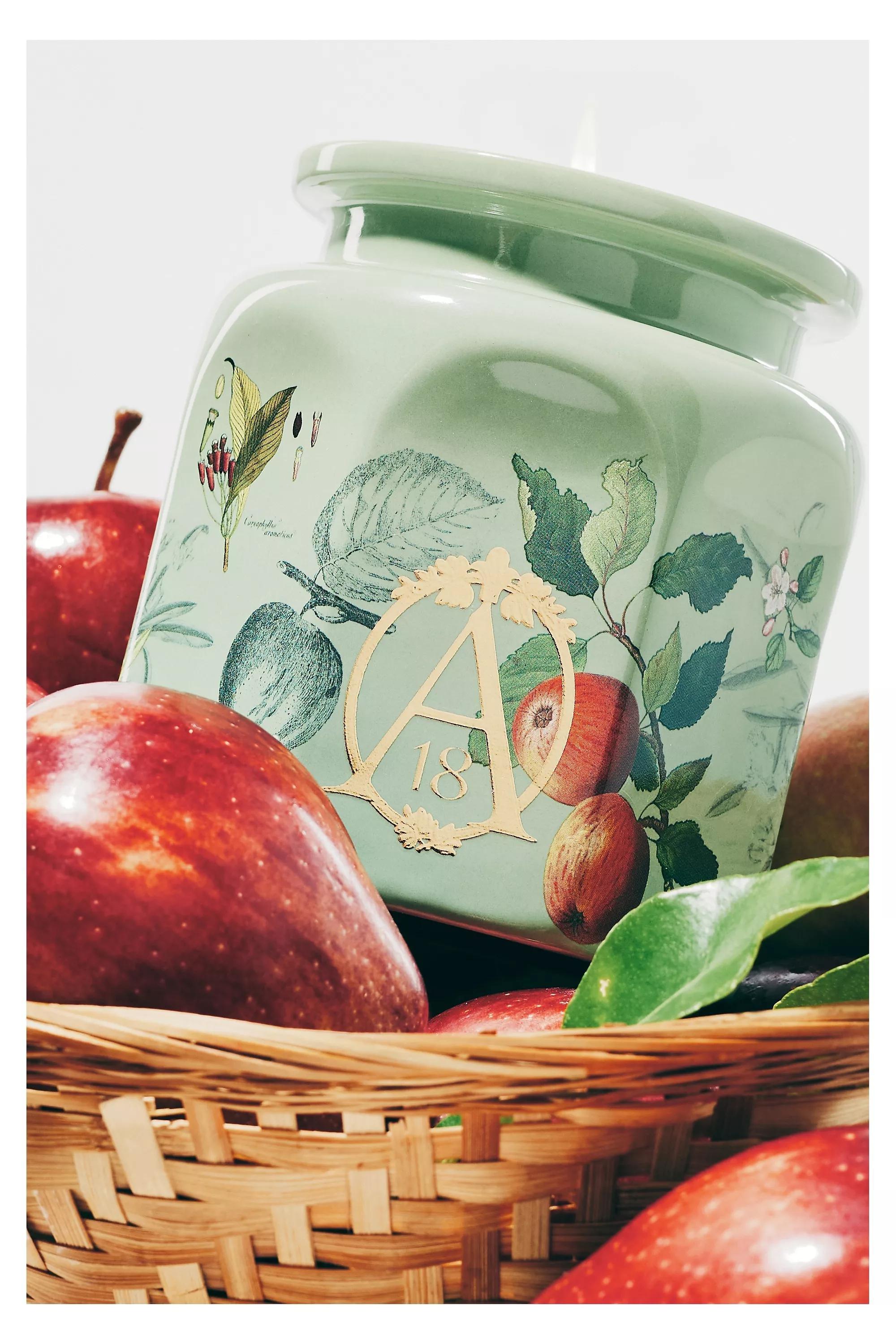 Apothecary 18 Spice Orchard Woods Ceramic Jar Candle, Green, A501_0030, large image number 0