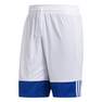 Men 3G Speed Reversible Shorts, Blue, A701_ONE, thumbnail image number 0