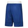 Men 3G Speed Reversible Shorts, Blue, A701_ONE, thumbnail image number 3