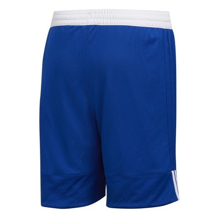 Kids Unisex 3G Speed Reversible Shorts, Blue, A701_ONE, large image number 3