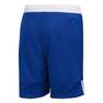 Kids Unisex 3G Speed Reversible Shorts, Blue, A701_ONE, thumbnail image number 4