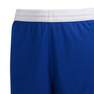 Kids Unisex 3G Speed Reversible Shorts, Blue, A701_ONE, thumbnail image number 6