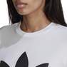 Adicolor Classics Trefoil T-Shirt White Female, A701_ONE, thumbnail image number 12