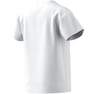 Unisex Kids Adicolor Trefoil T-Shirt, White, A701_ONE, thumbnail image number 18