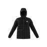 Men Bsc 3-Stripes Hooded Insulated Jacket, Black, A701_ONE, thumbnail image number 12
